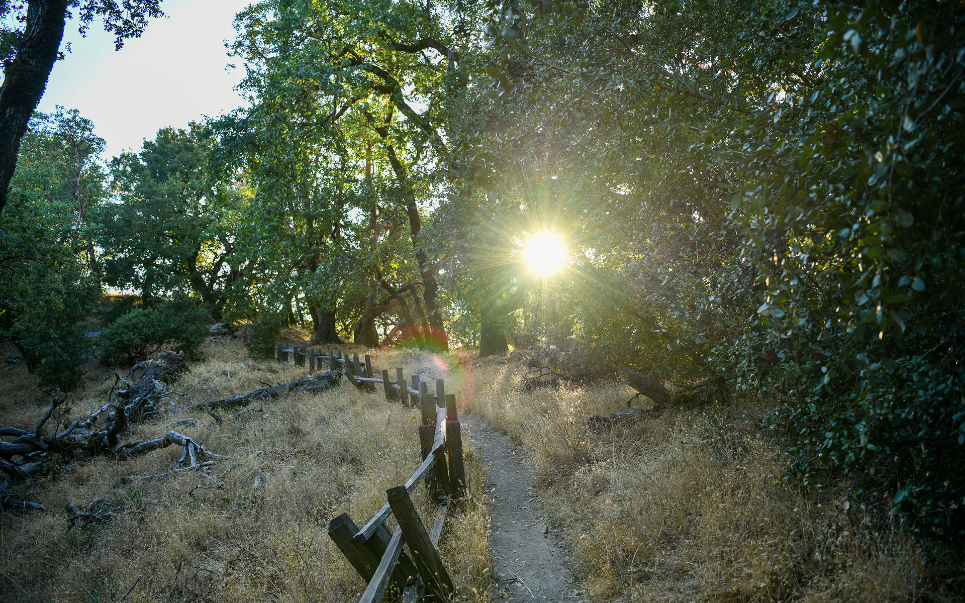 2019.09_Castle-Rock-State-Park_California_USA_08