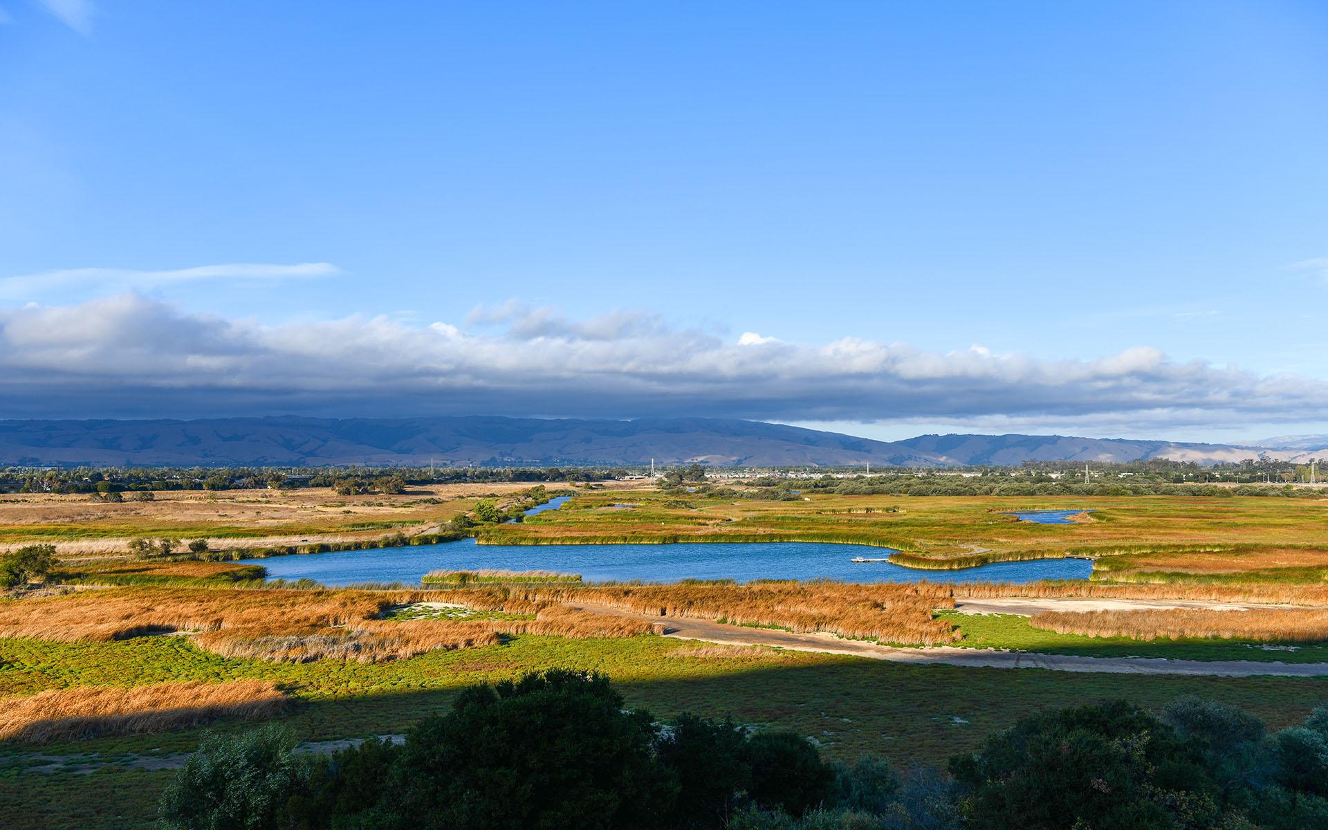 2019.09_Coyote-Hills-Vista-Point_Coyote-Hills-Regional-Park_Fremont_California_USA_01