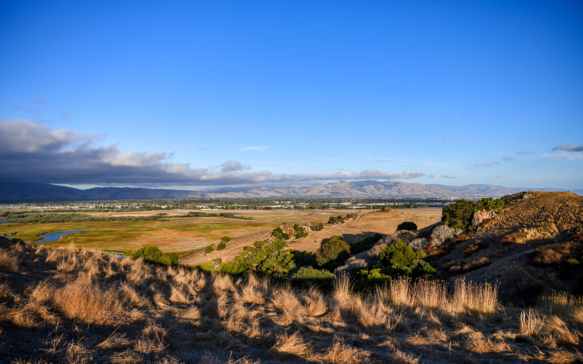2019.09_Coyote-Hills-Vista-Point_Coyote-Hills-Regional-Park_Fremont_California_USA_02
