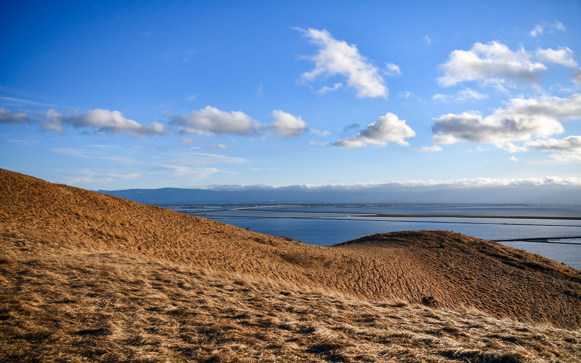 2019.09_Coyote-Hills-Vista-Point_Coyote-Hills-Regional-Park_Fremont_California_USA_04