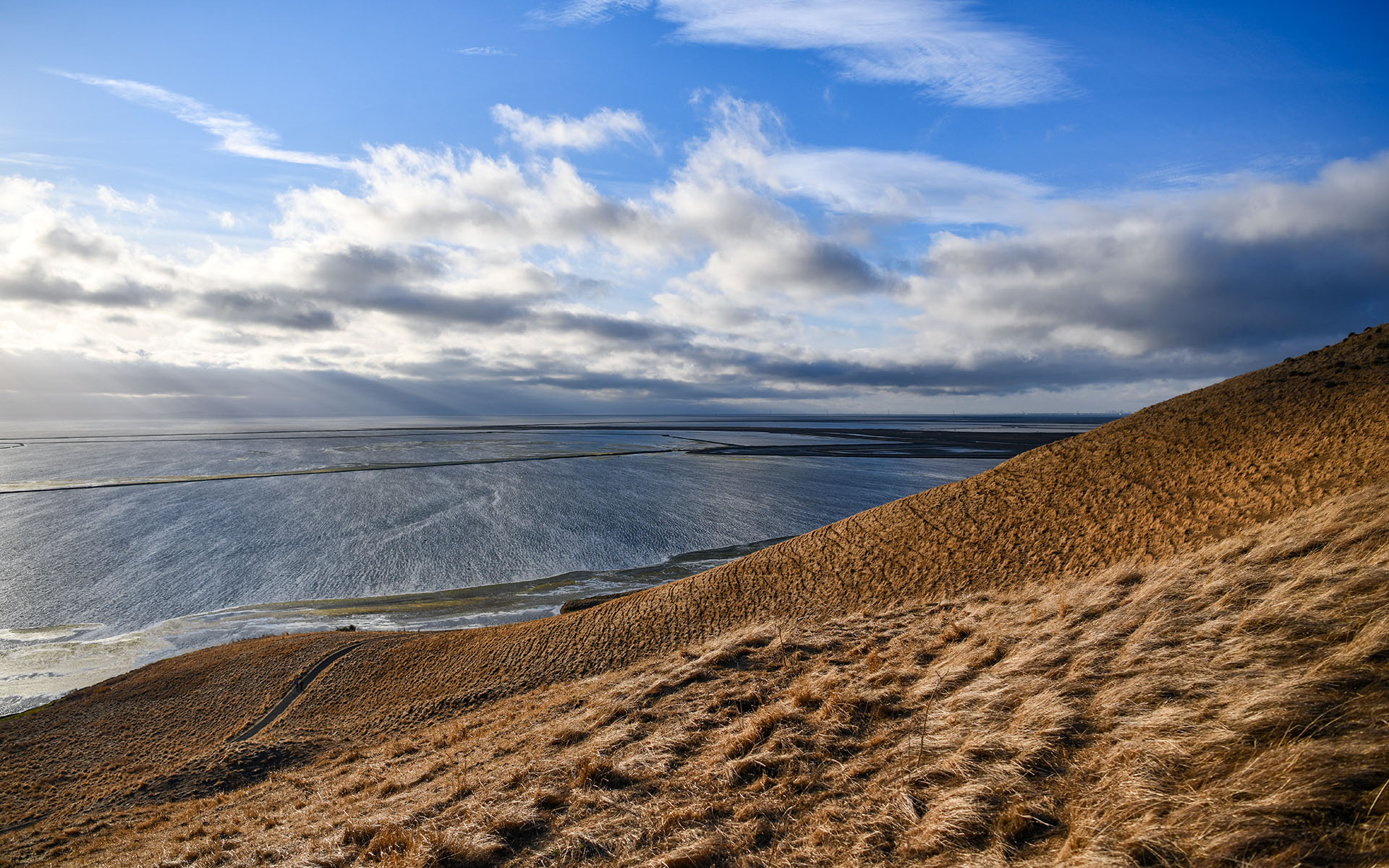 2019.09_Coyote-Hills-Vista-Point_Coyote-Hills-Regional-Park_Fremont_California_USA_06
