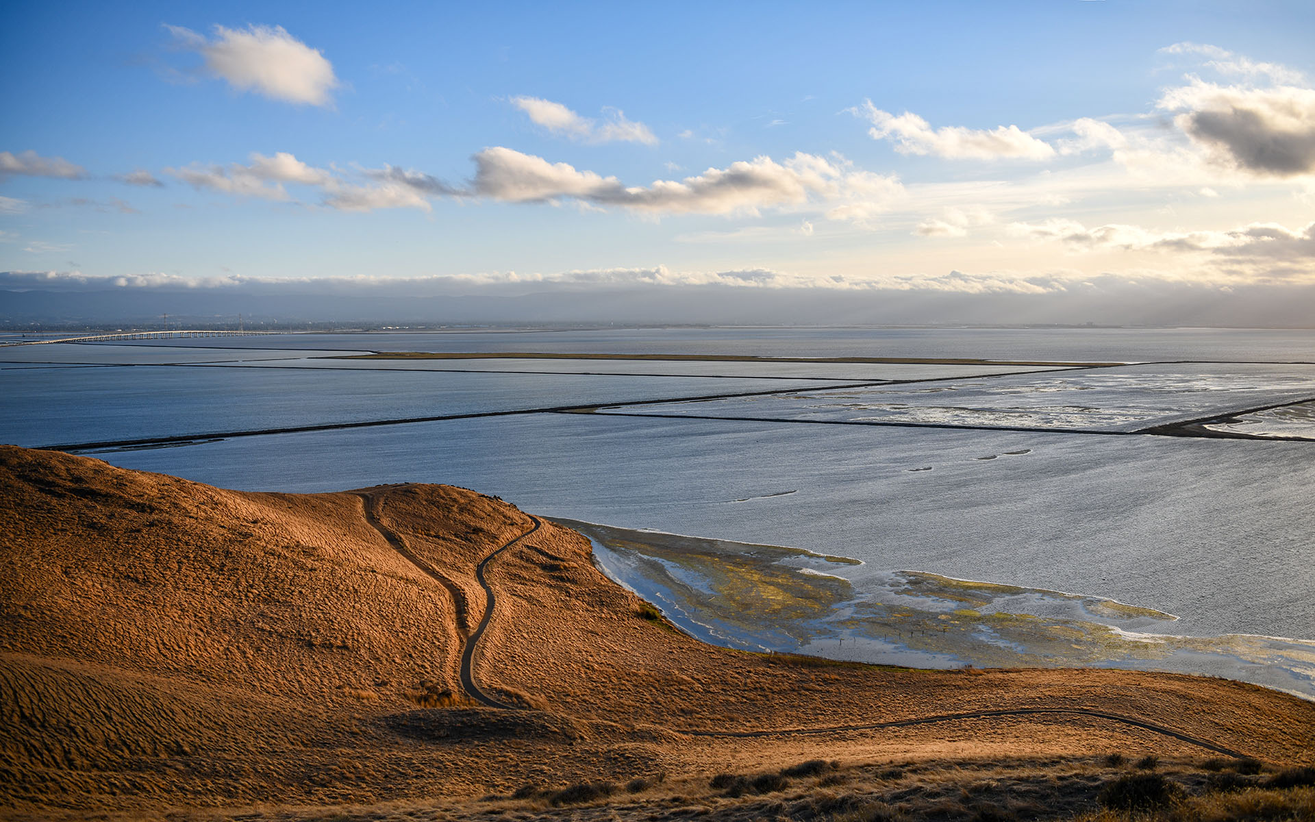 2019.09_Coyote-Hills-Vista-Point_Coyote-Hills-Regional-Park_Fremont_California_USA_07