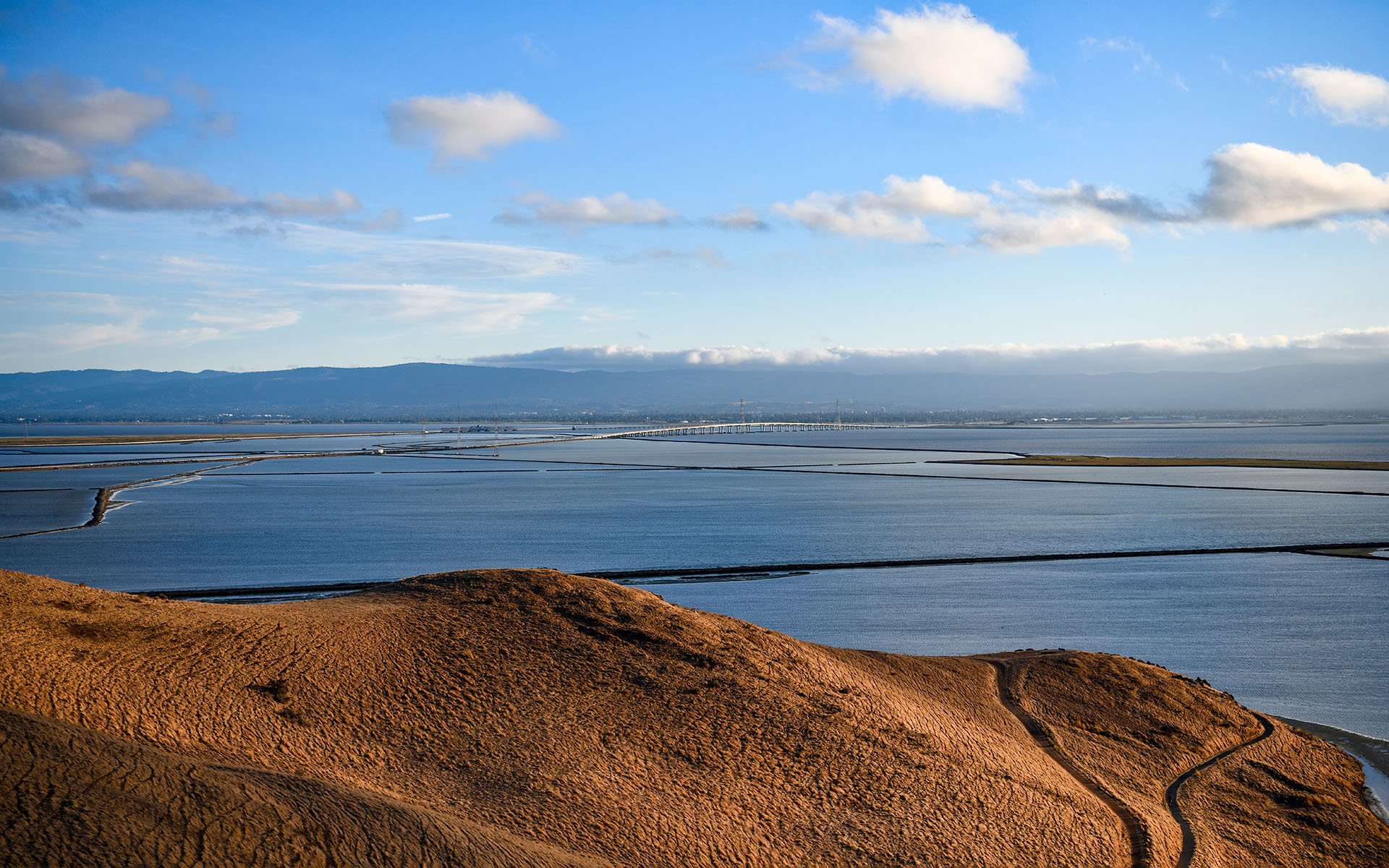 2019.09_Coyote-Hills-Vista-Point_Coyote-Hills-Regional-Park_Fremont_California_USA_08