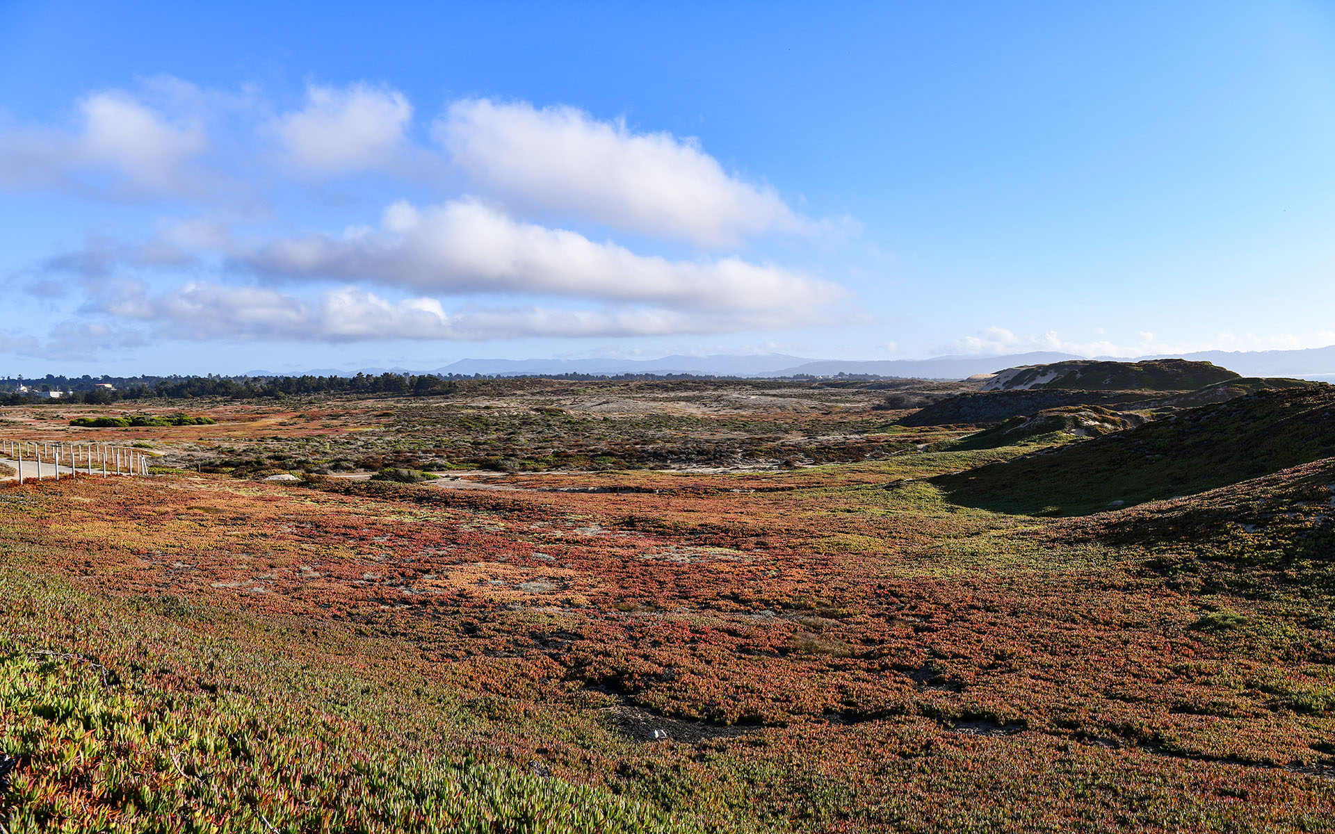 2019.09_Fort-Ord-Dunes-State-Park_California_USA_01