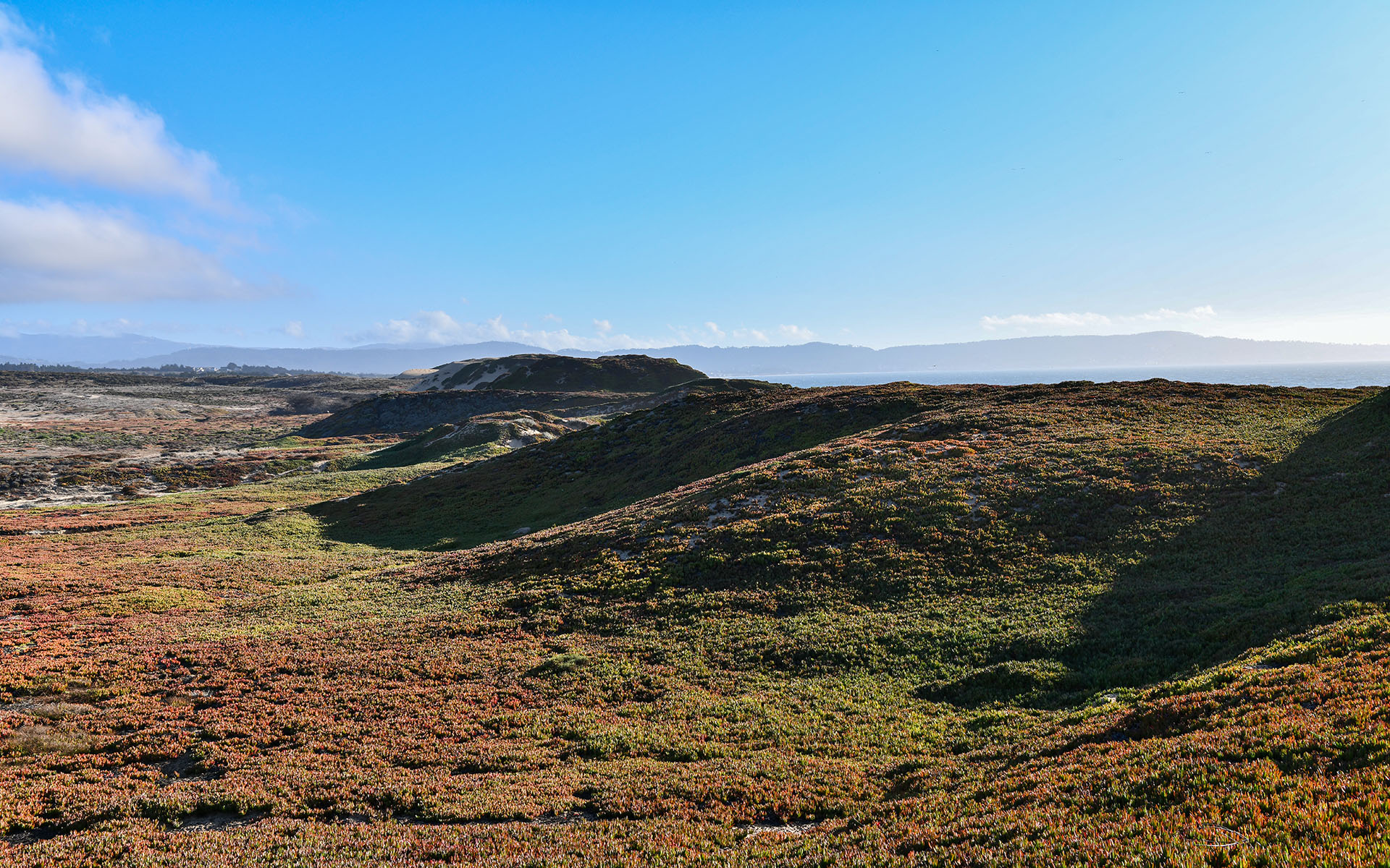 2019.09_Fort-Ord-Dunes-State-Park_California_USA_02