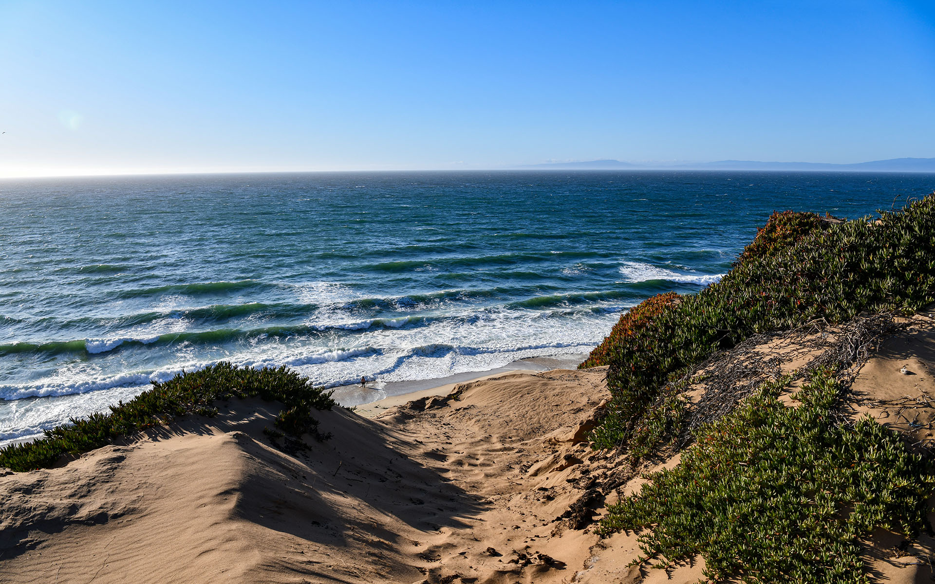 2019.09_Fort-Ord-Dunes-State-Park_California_USA_03