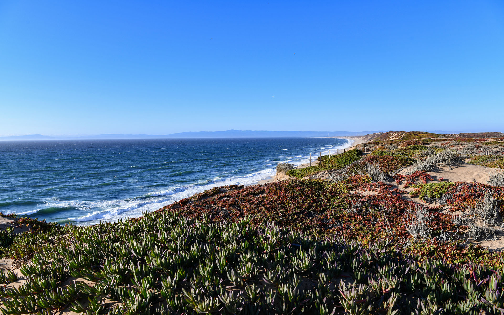 2019.09_Fort-Ord-Dunes-State-Park_California_USA_04