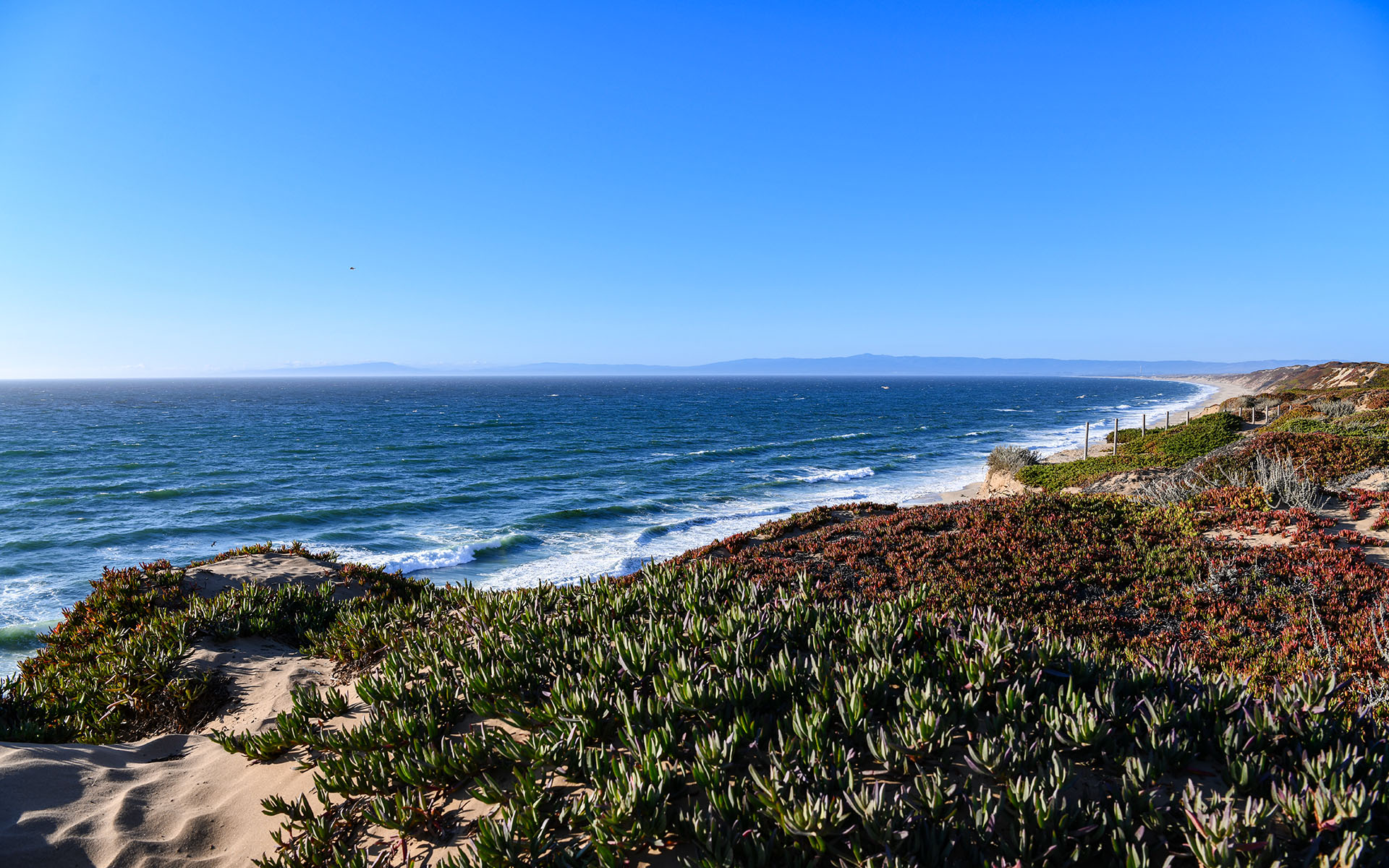 2019.09_Fort-Ord-Dunes-State-Park_California_USA_05