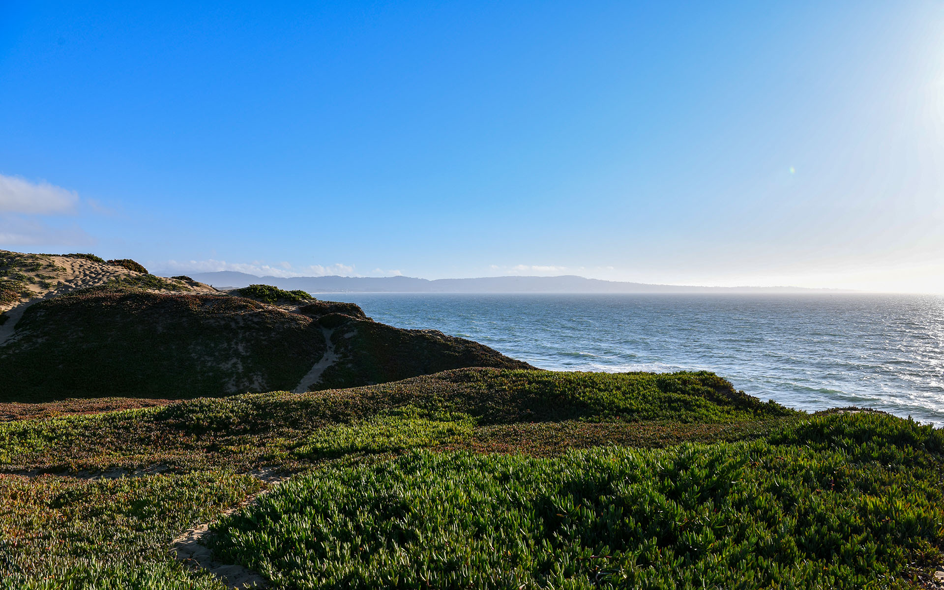 2019.09_Fort-Ord-Dunes-State-Park_California_USA_06