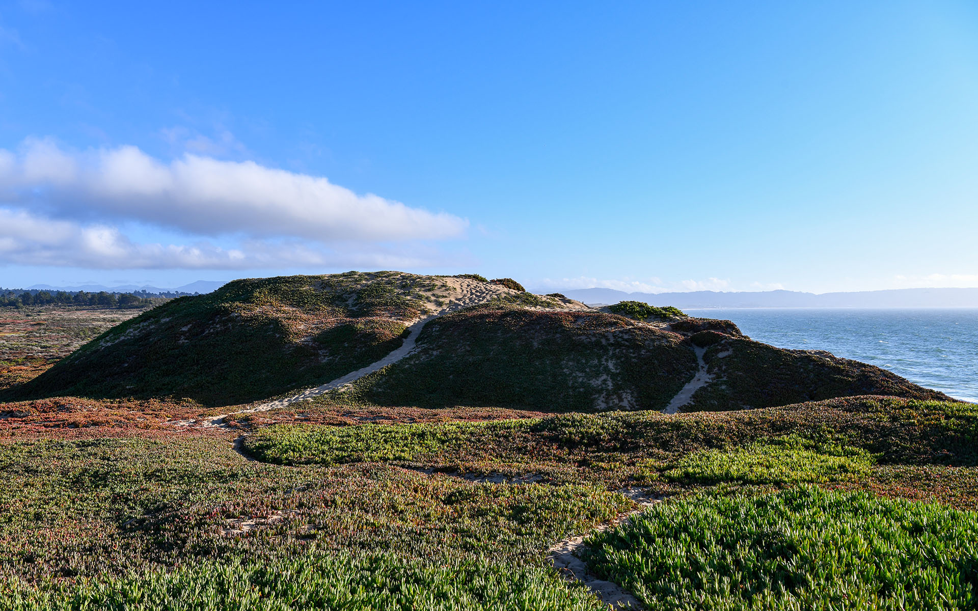 2019.09_Fort-Ord-Dunes-State-Park_California_USA_07