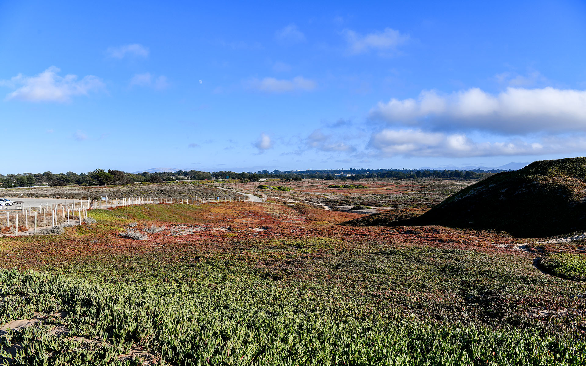 2019.09_Fort-Ord-Dunes-State-Park_California_USA_08