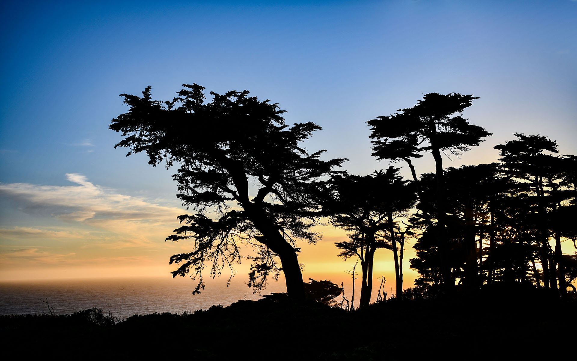 2019.09_Lands-End_San-Francisco_California_USA_01