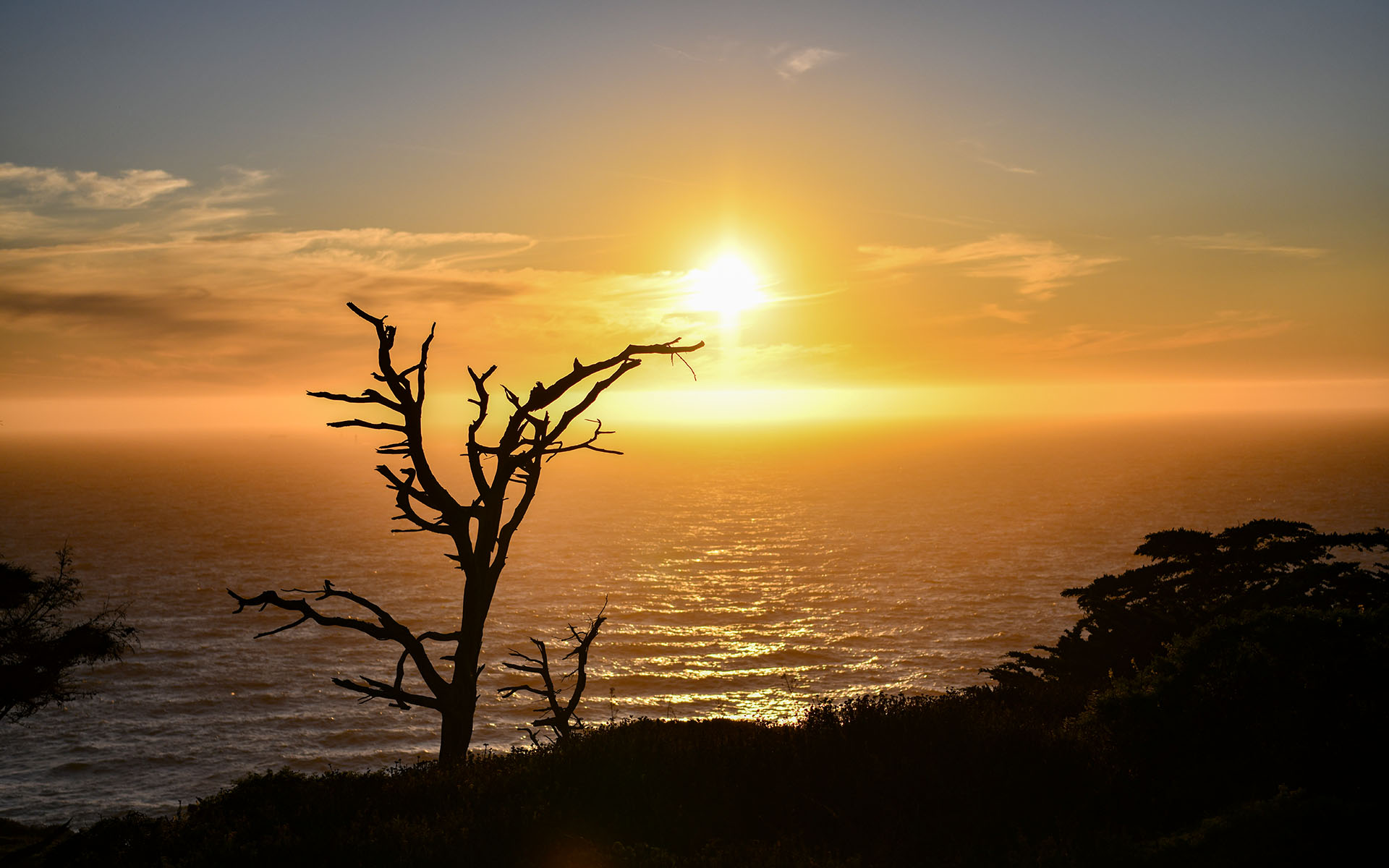 2019.09_Lands-End_San-Francisco_California_USA_02