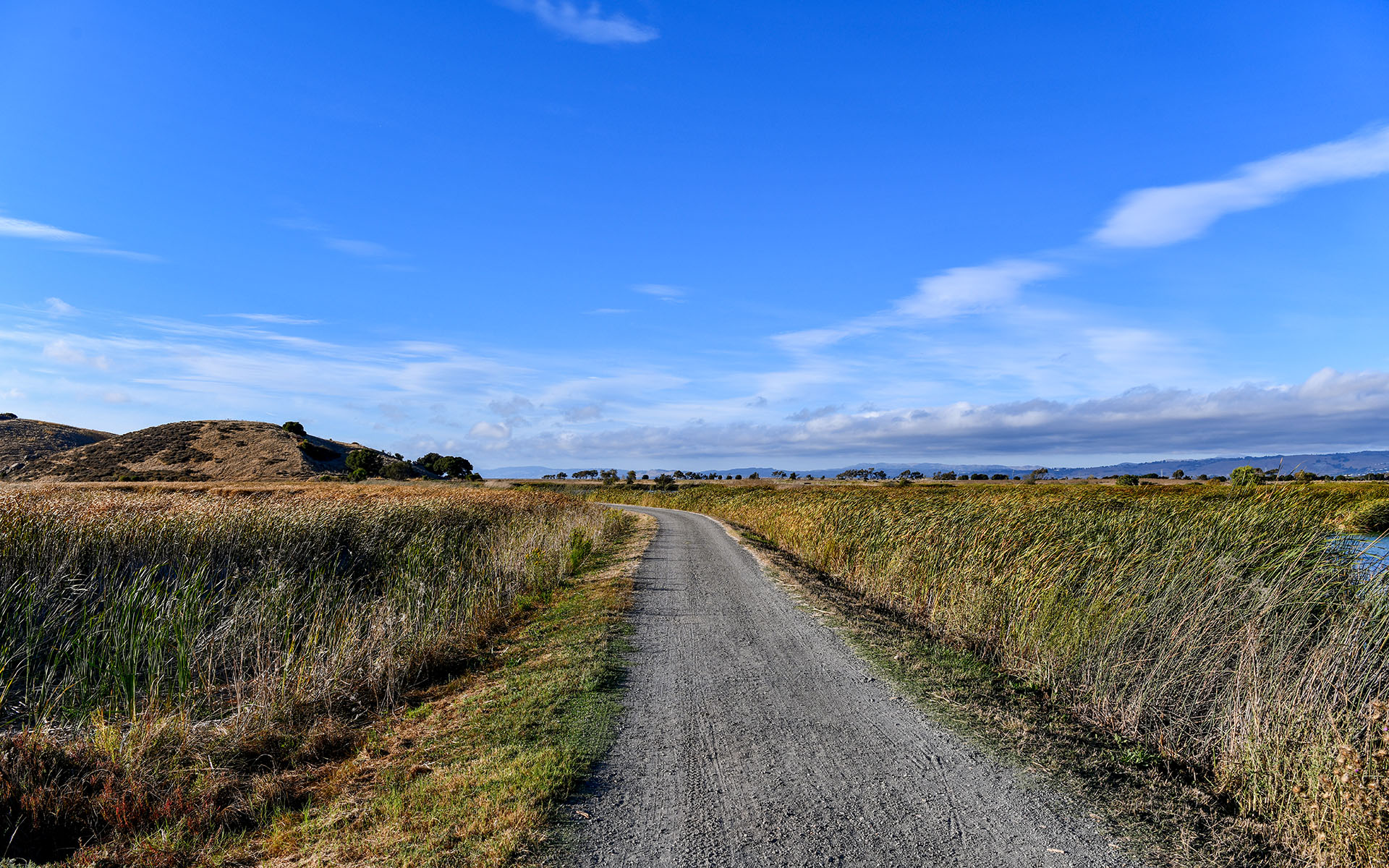 2019.09_Main-Marsh_Coyote-Hills-Regional-Park_Fremont_California_USA_01