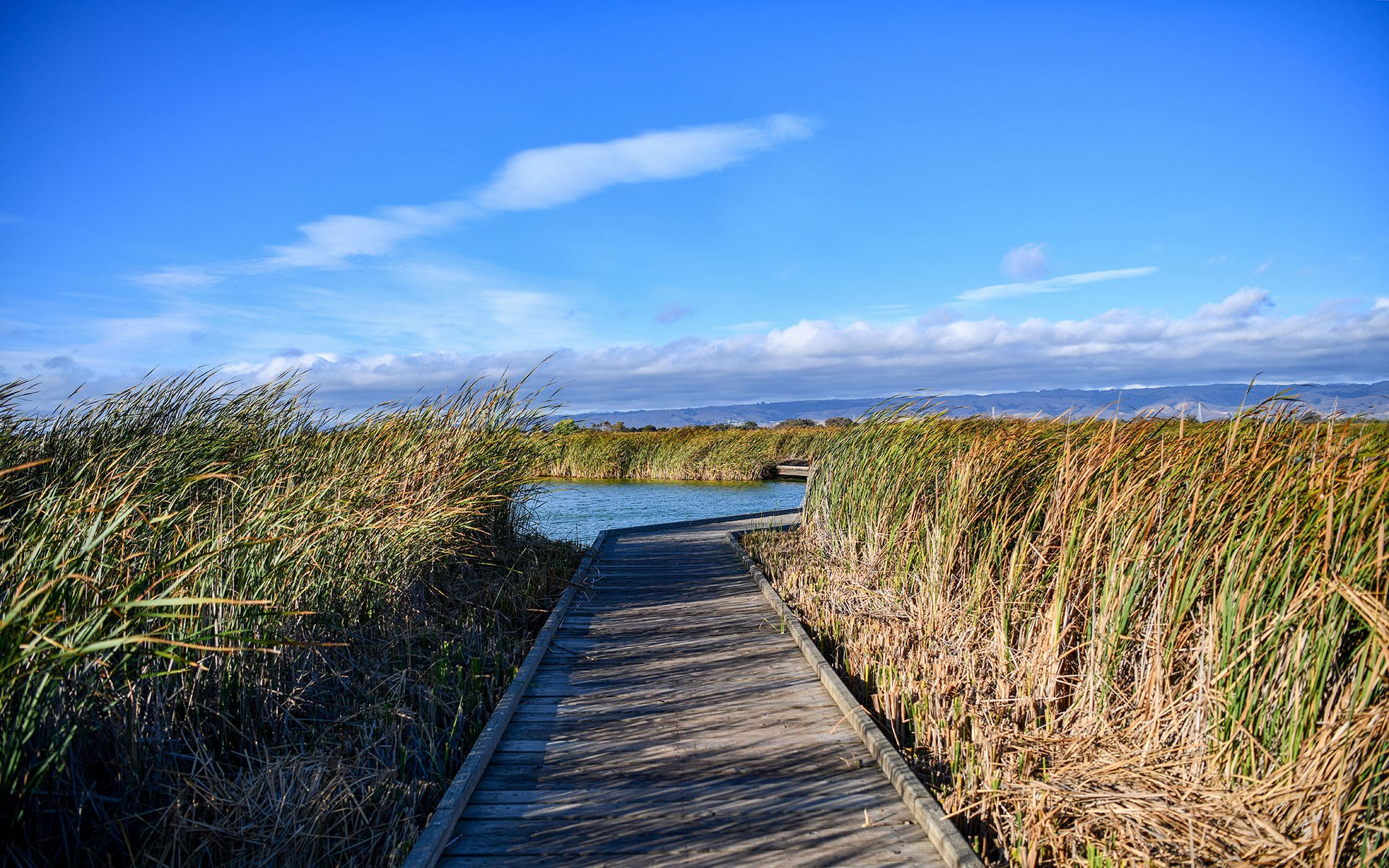 2019.09_Main-Marsh_Coyote-Hills-Regional-Park_Fremont_California_USA_05