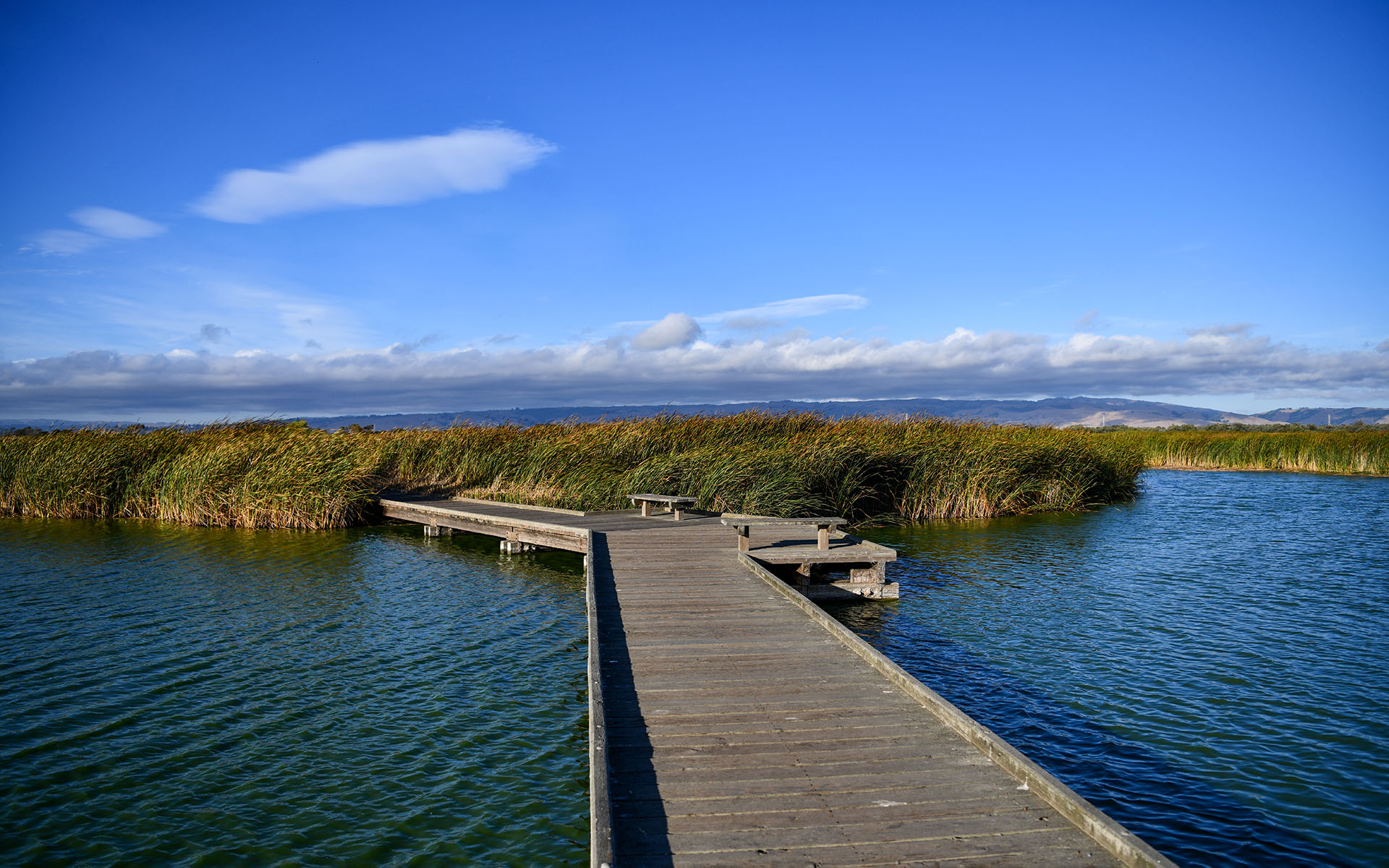 2019.09_Main-Marsh_Coyote-Hills-Regional-Park_Fremont_California_USA_06