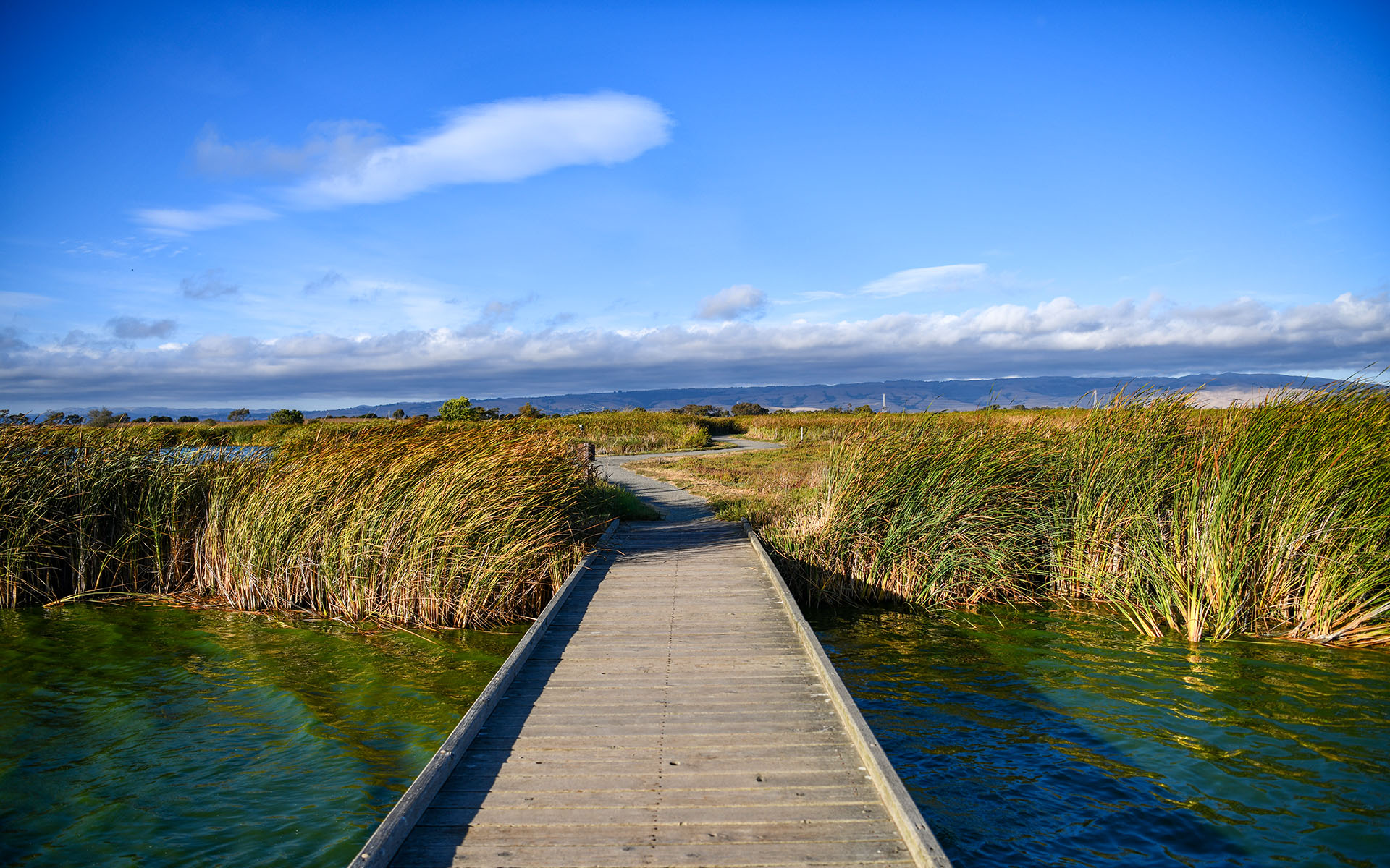 2019.09_Main-Marsh_Coyote-Hills-Regional-Park_Fremont_California_USA_07
