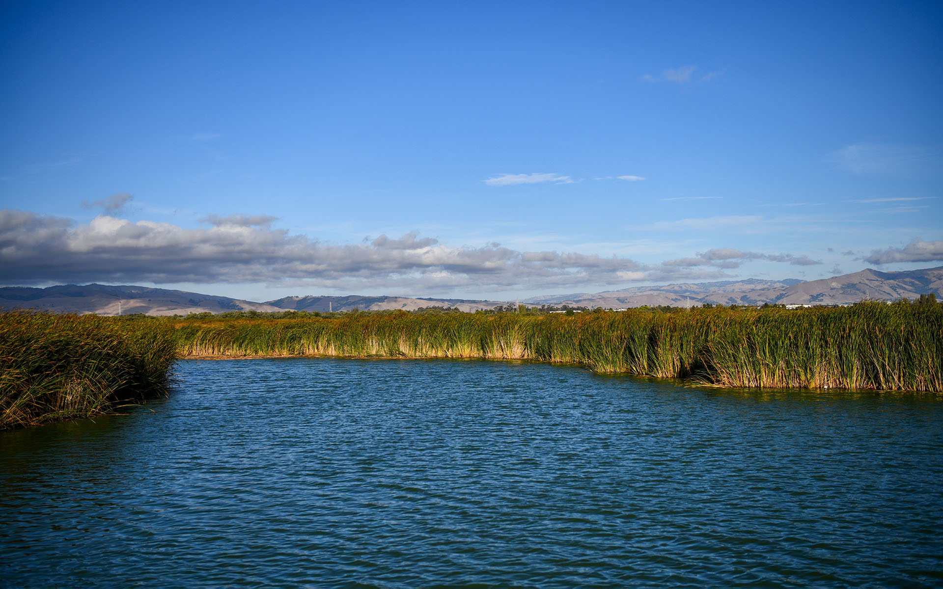 2019.09_Main-Marsh_Coyote-Hills-Regional-Park_Fremont_California_USA_08