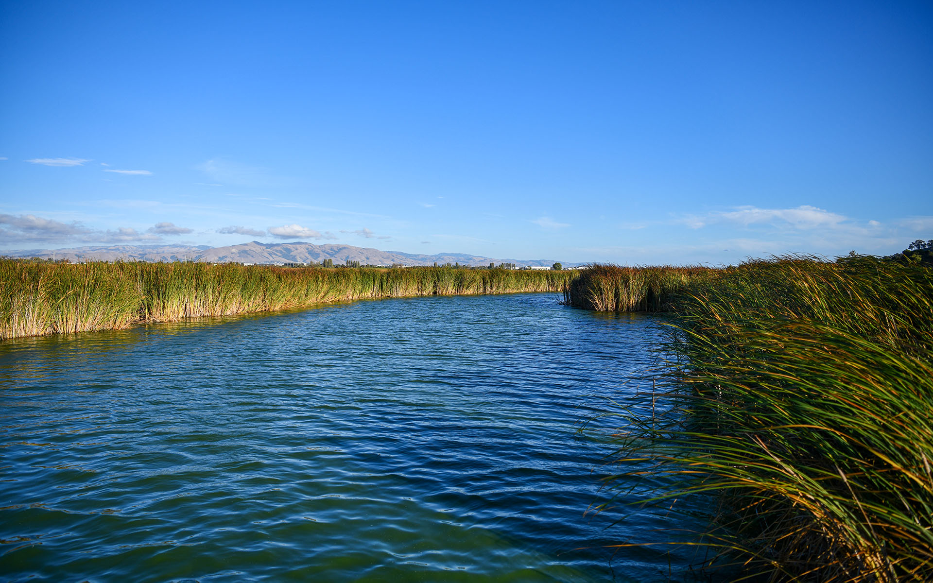 2019.09_Main-Marsh_Coyote-Hills-Regional-Park_Fremont_California_USA_09