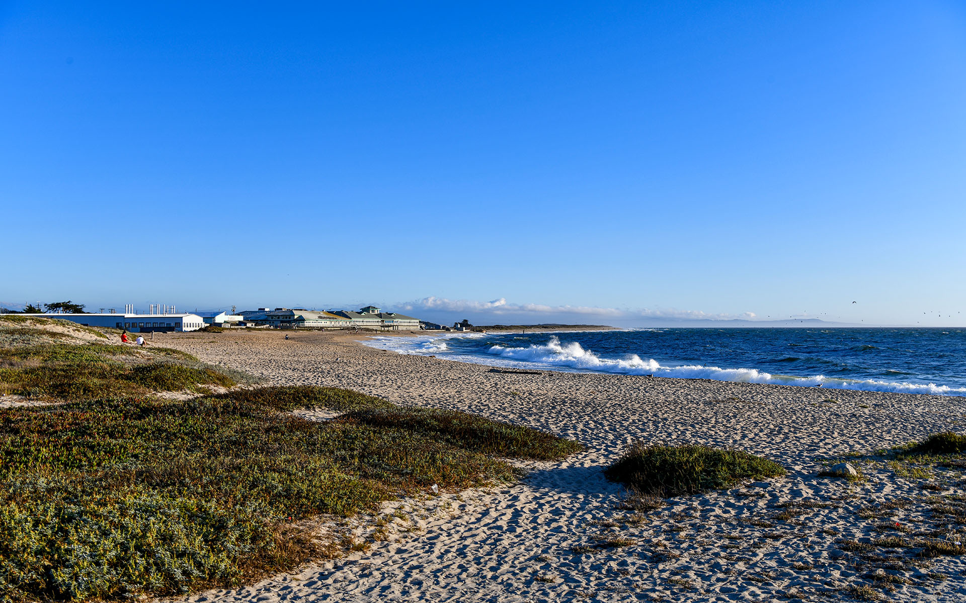2019.09_Moss-Landing_California_USA_01