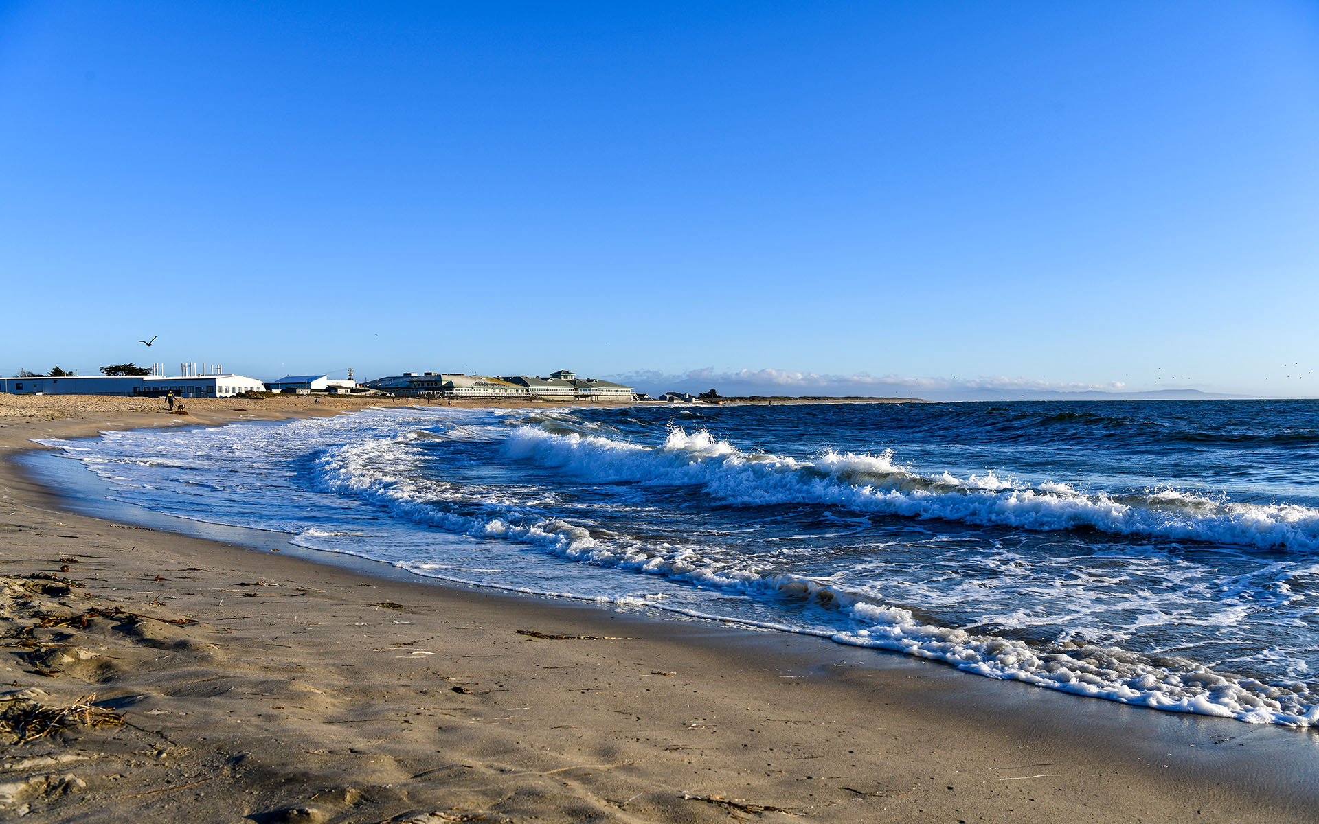 2019.09_Moss-Landing_California_USA_02