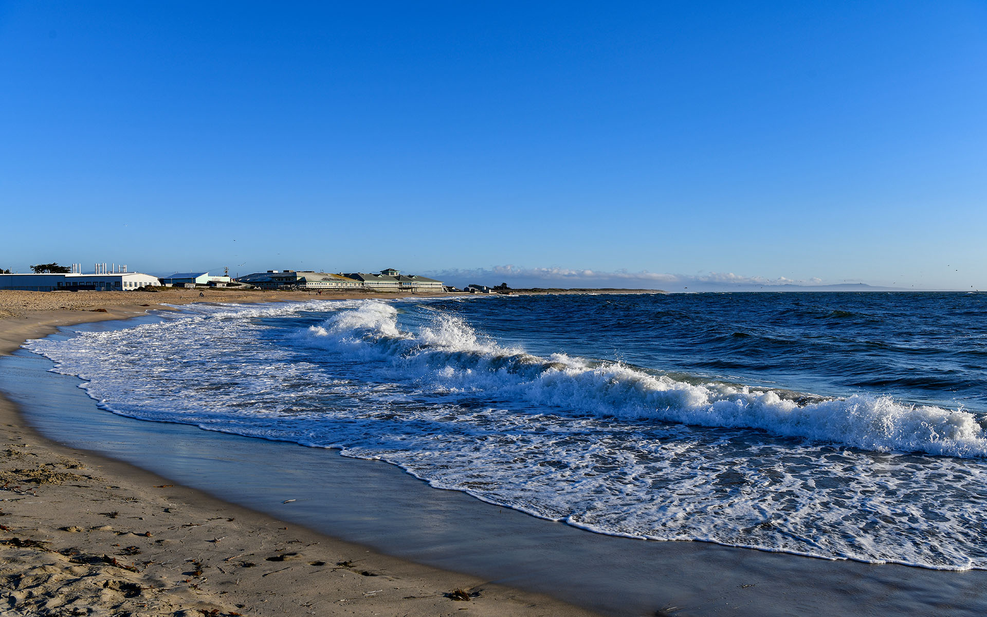 2019.09_Moss-Landing_California_USA_03