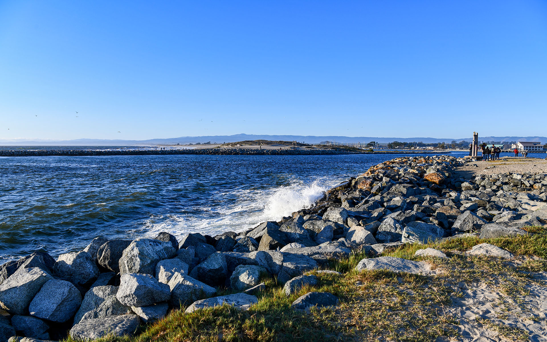 2019.09_Moss-Landing_California_USA_05