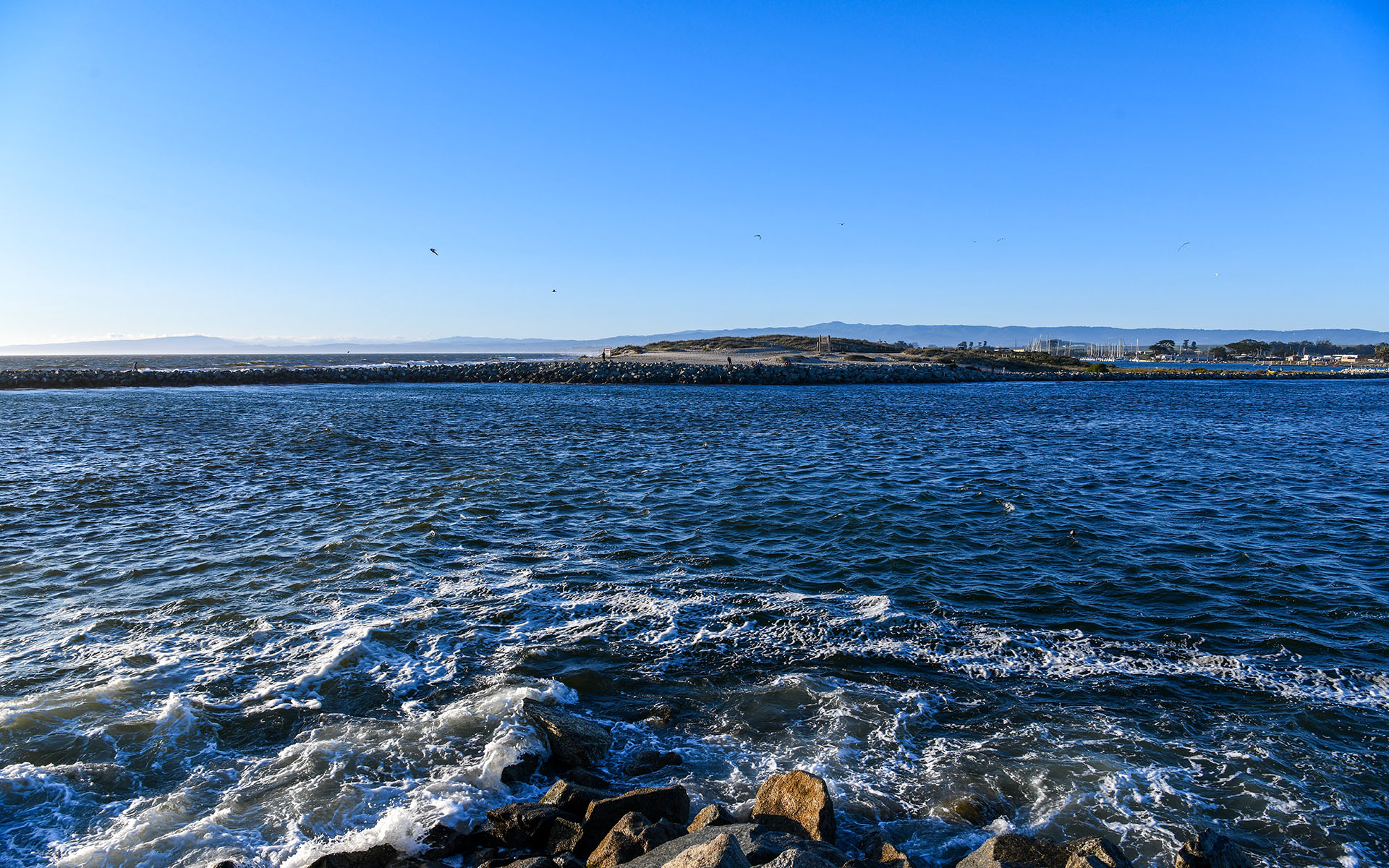 2019.09_Moss-Landing_California_USA_06