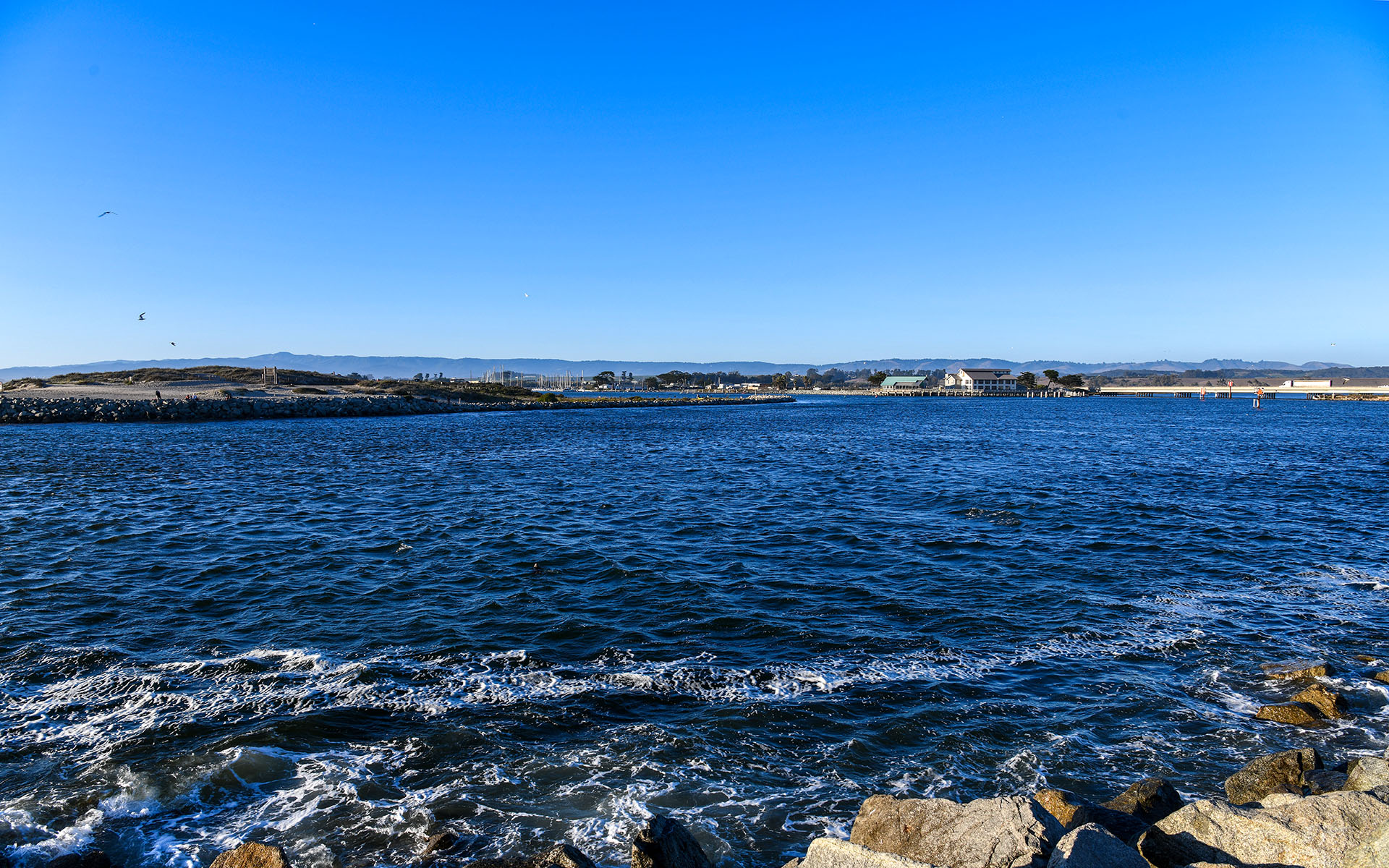 2019.09_Moss-Landing_California_USA_07