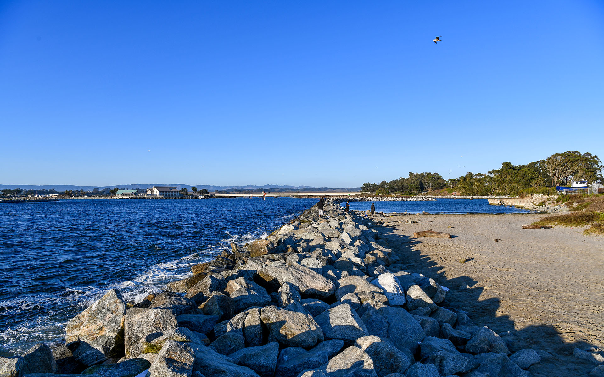 2019.09_Moss-Landing_California_USA_09