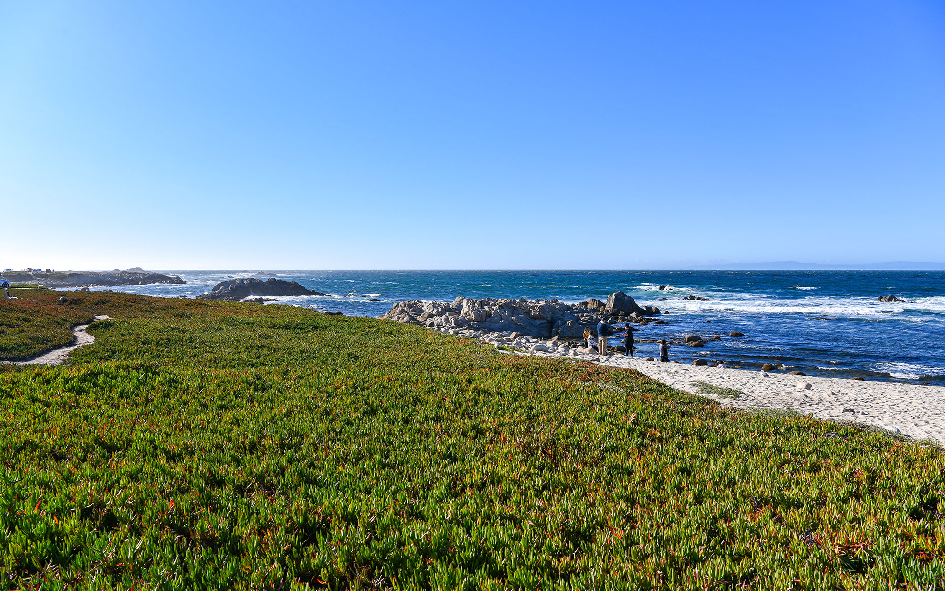 2019.09_Point-Pinos_Pacific-Grove_California_USA_01