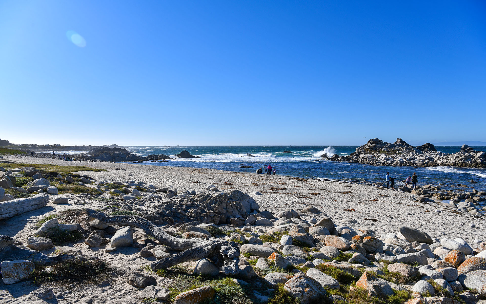 2019.09_Point-Pinos_Pacific-Grove_California_USA_04