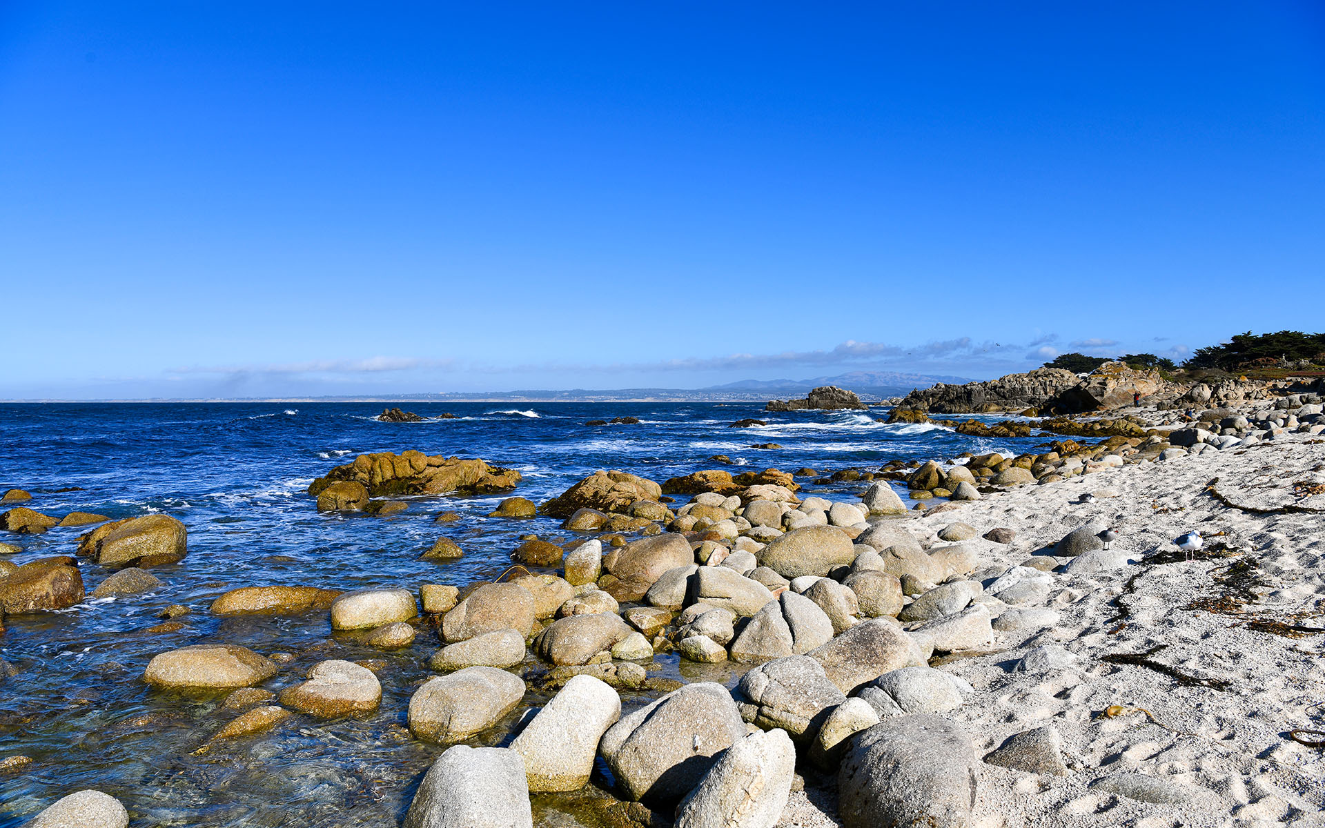 2019.09_Point-Pinos_Pacific-Grove_California_USA_05
