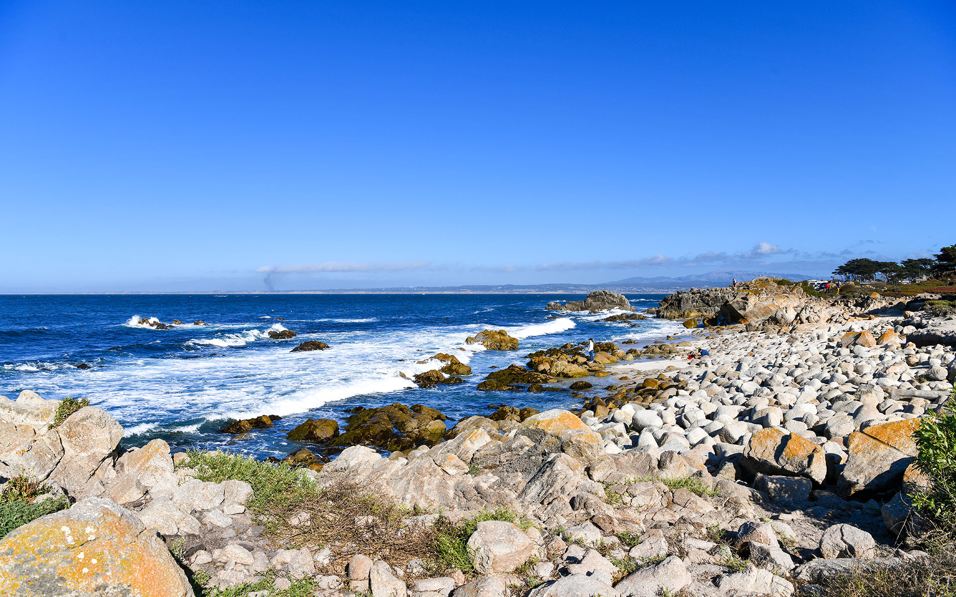 2019.09_Point-Pinos_Pacific-Grove_California_USA_06