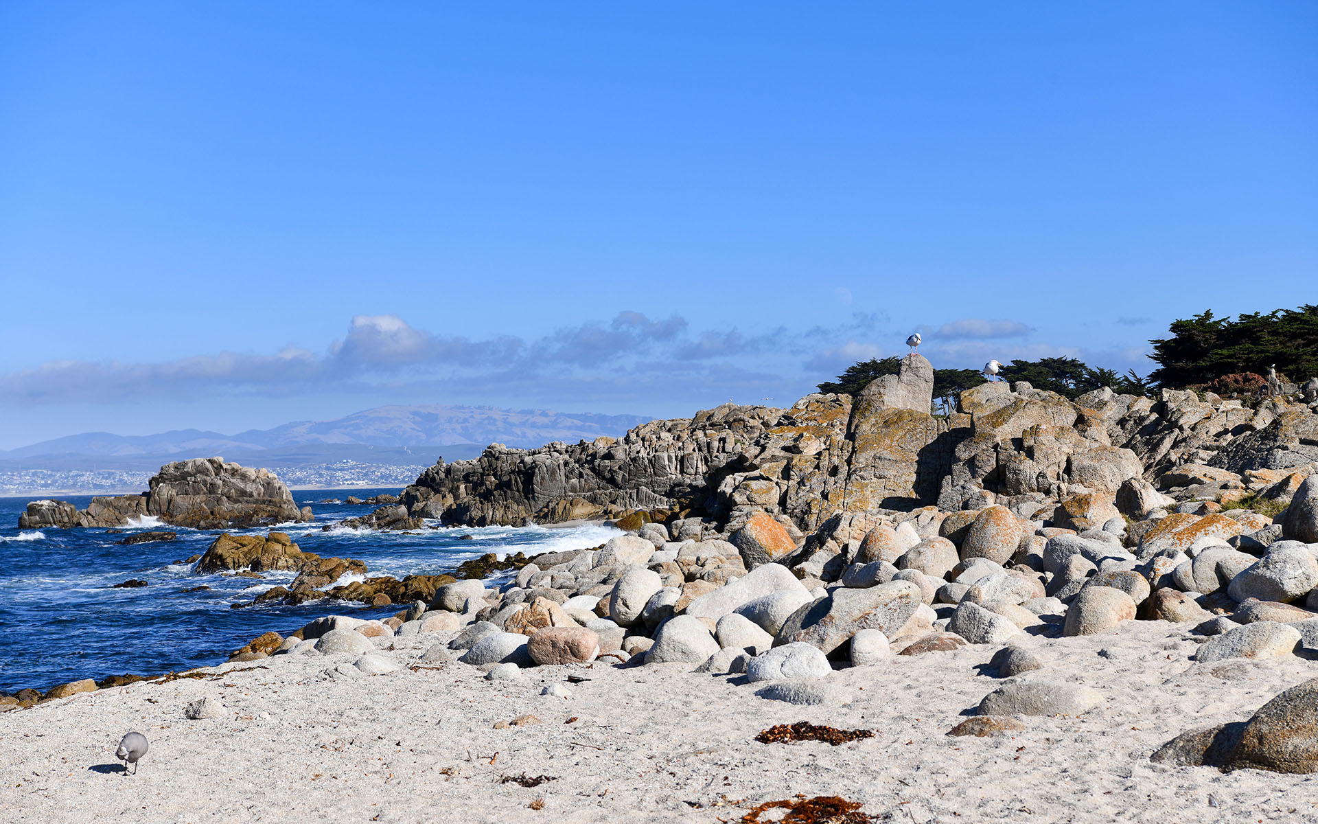 2019.09_Point-Pinos_Pacific-Grove_California_USA_07