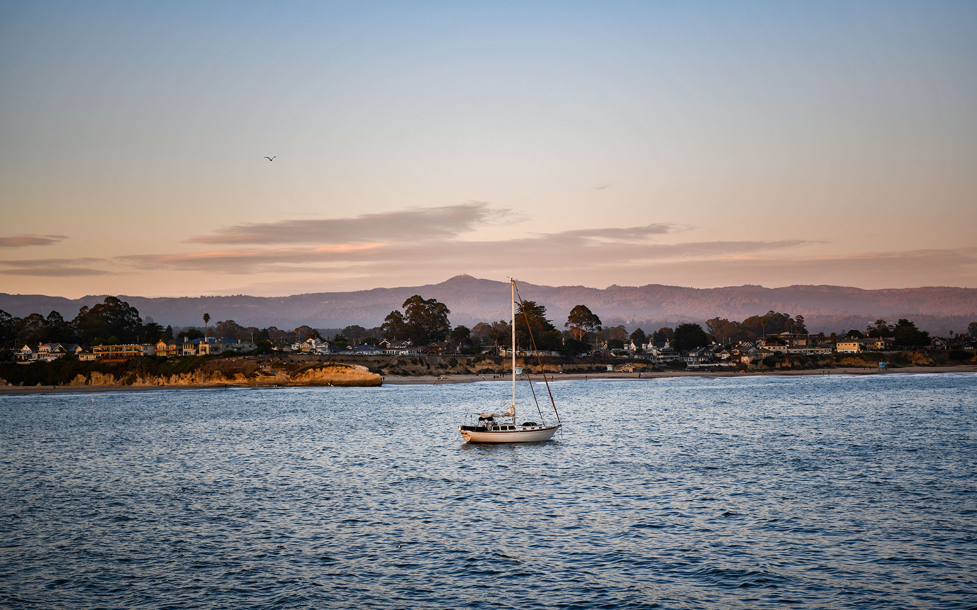 2019.09_Santa-Cruz-Wharf_Santa-Cruz_California_USA_05