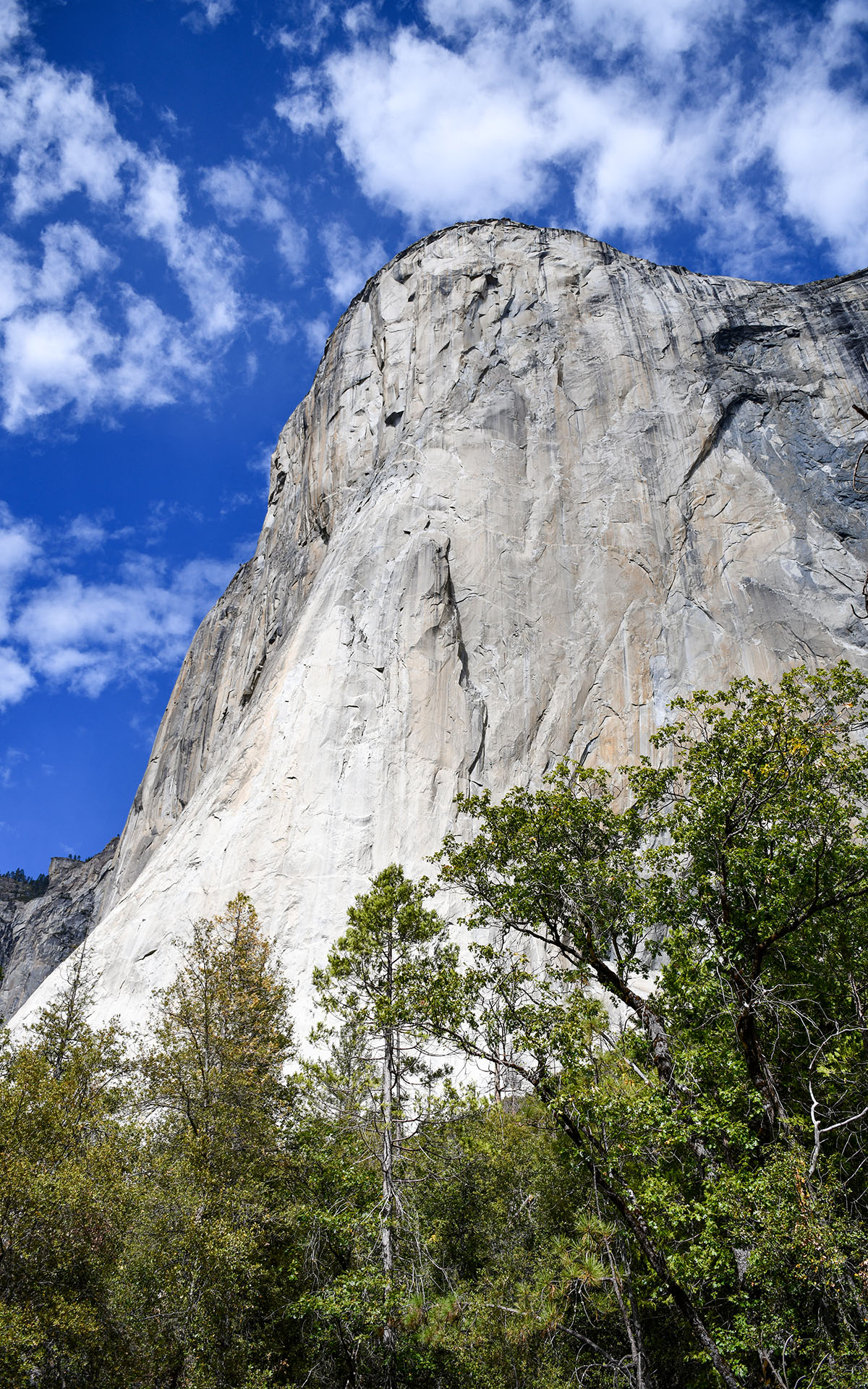 2019.10_El-Capitan_Yosemite-National-Park_California_USA_04