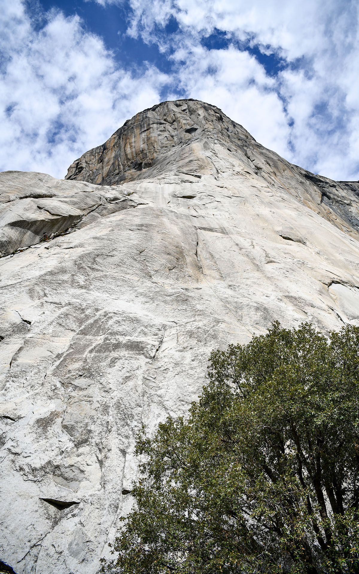 2019.10_El-Capitan_Yosemite-National-Park_California_USA_09