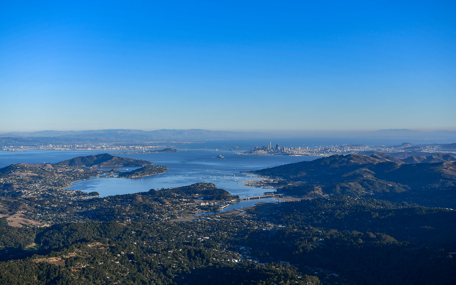 2019.10_Mount-Tamalpais-East-Peak_Mount-Tamalpais-State-Park_California_USA_04