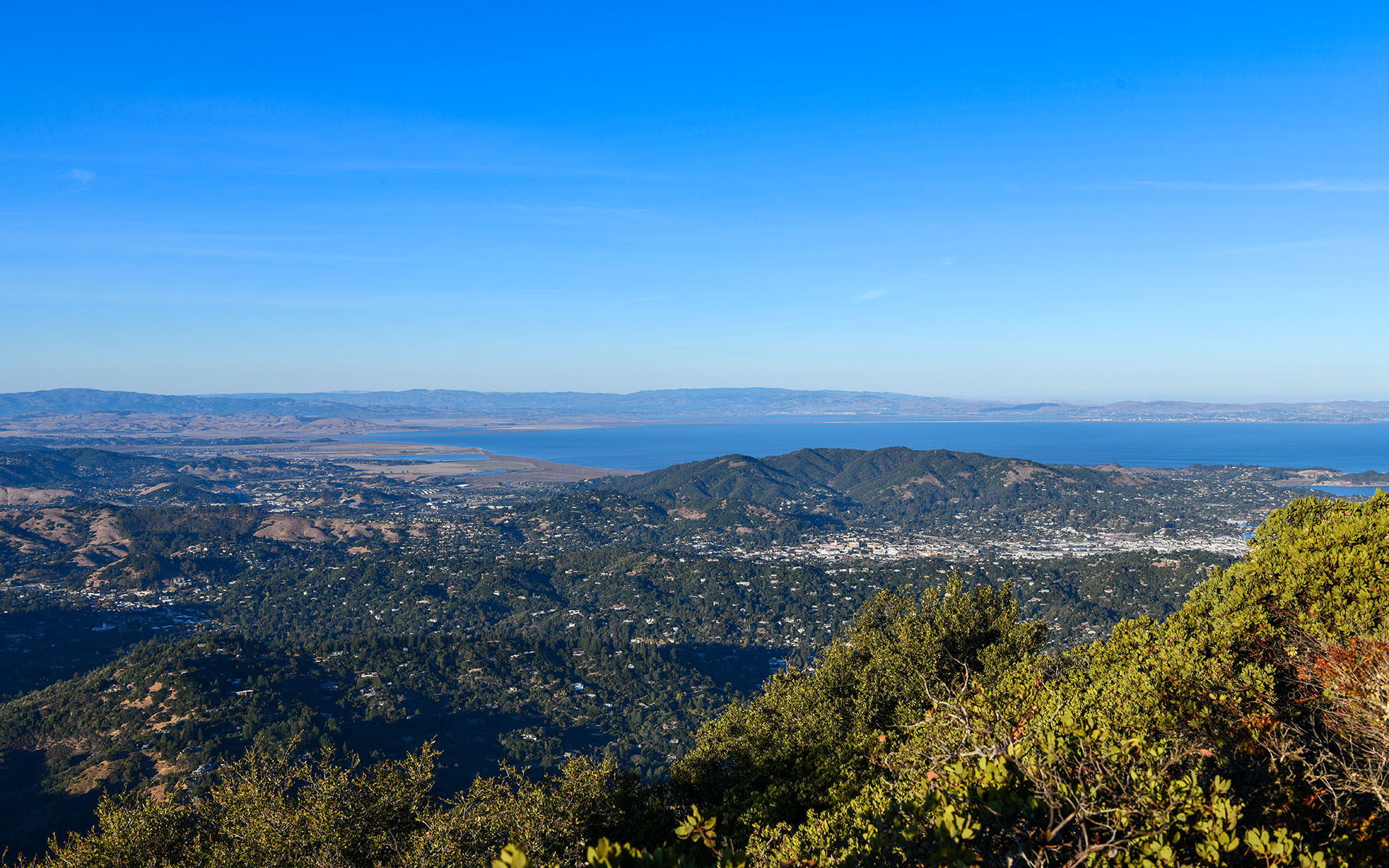 2019.10_Mount-Tamalpais-East-Peak_Mount-Tamalpais-State-Park_California_USA_06