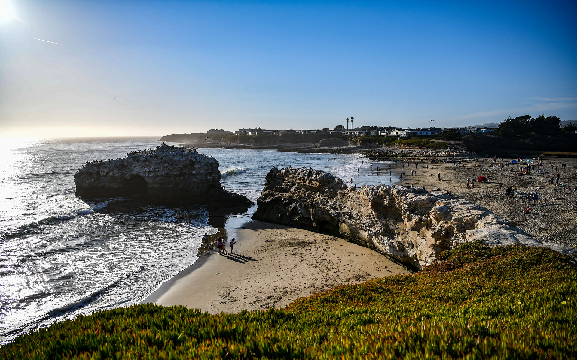 2019.10_Natural-Bridges-State-Beach_Santa-Cruz_California_USA_01