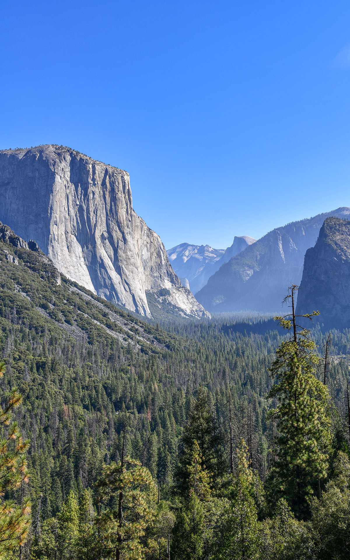 2019.10_Tunnel-View_Yosemite-National-Park_California_USA_06