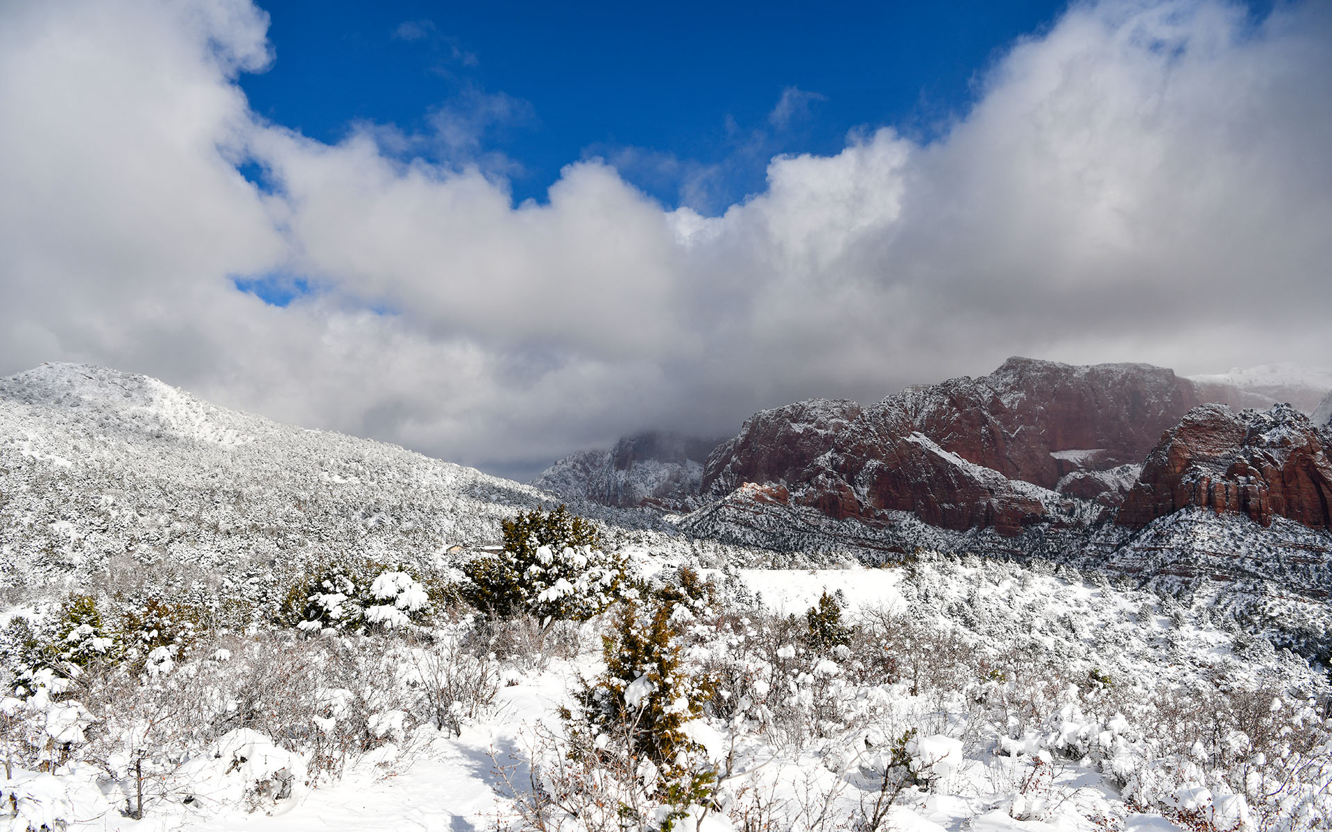 2019.12_Timber-Creek-Overlook-Trail_Zion-National-Park_Utah_USA_06