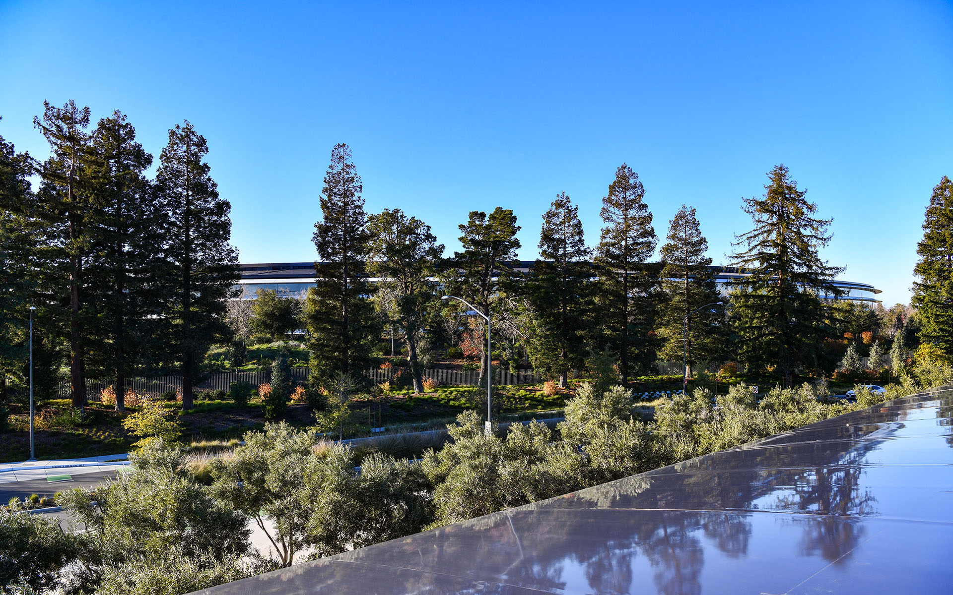 2020.01_Apple-Park-Visitor-Center_Cupertino_California_USA_03
