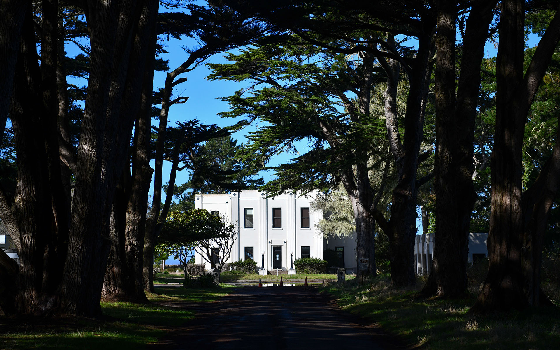 2020.01_Cypress-Tree-Tunnel_Point-Reyes-National-Seashore_California_USA_08