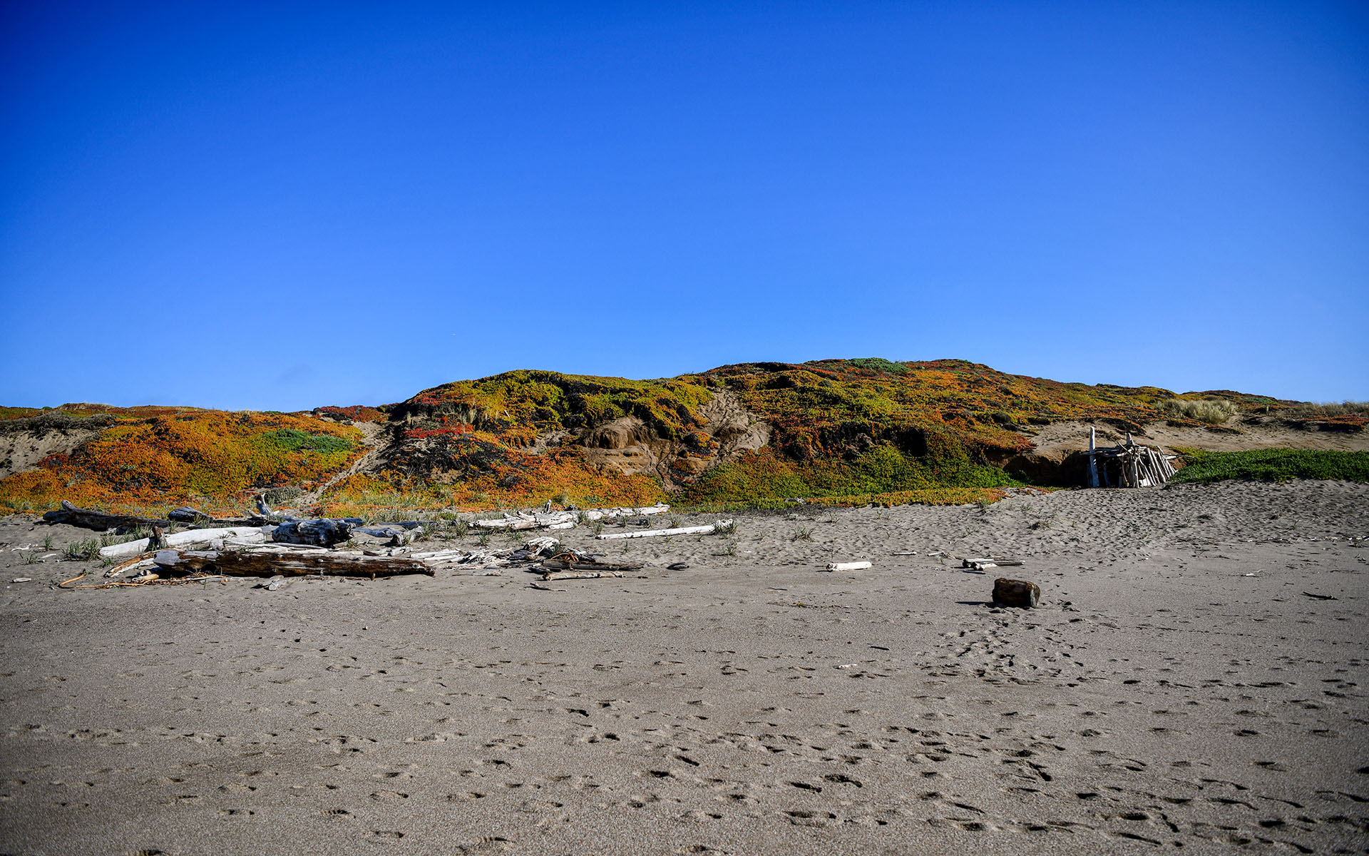 2020.01_South-Beach_Point-Reyes-National-Seashore_California_USA_01