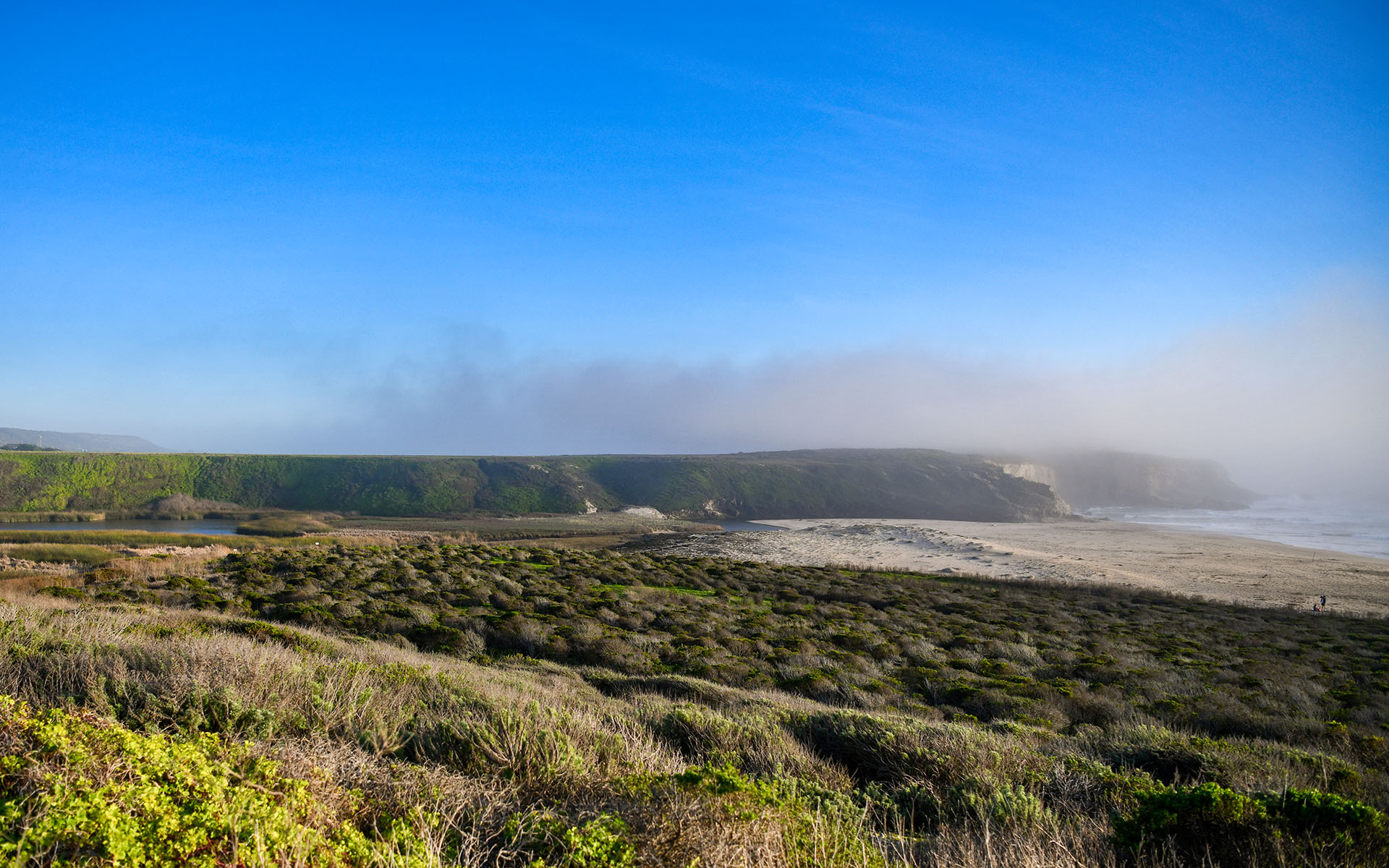 2020.02_Laguna-Creek-Beach_Coast-Dairies-State-Park_California_USA_01