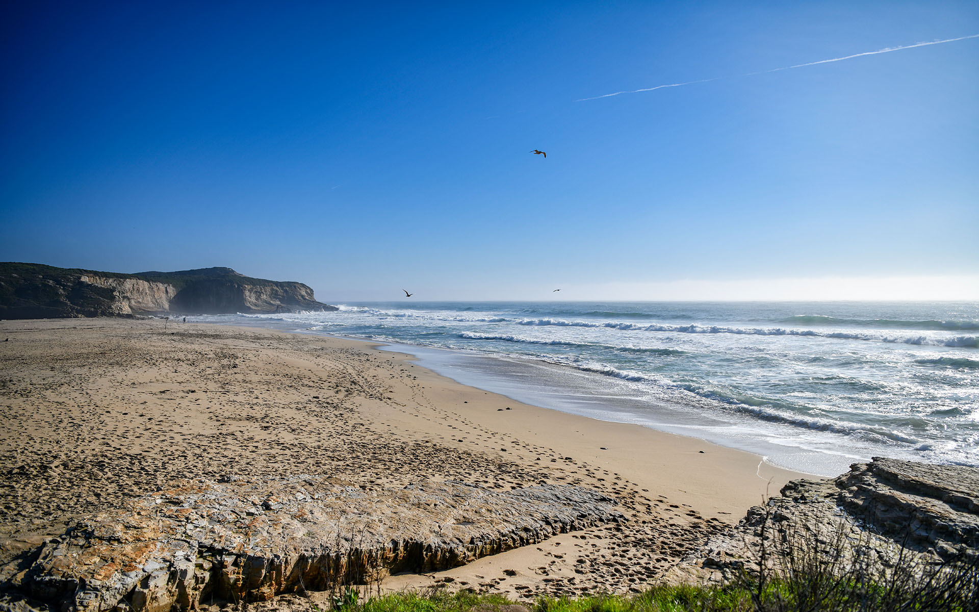 2020.02_Laguna-Creek-Beach_Coast-Dairies-State-Park_California_USA_03