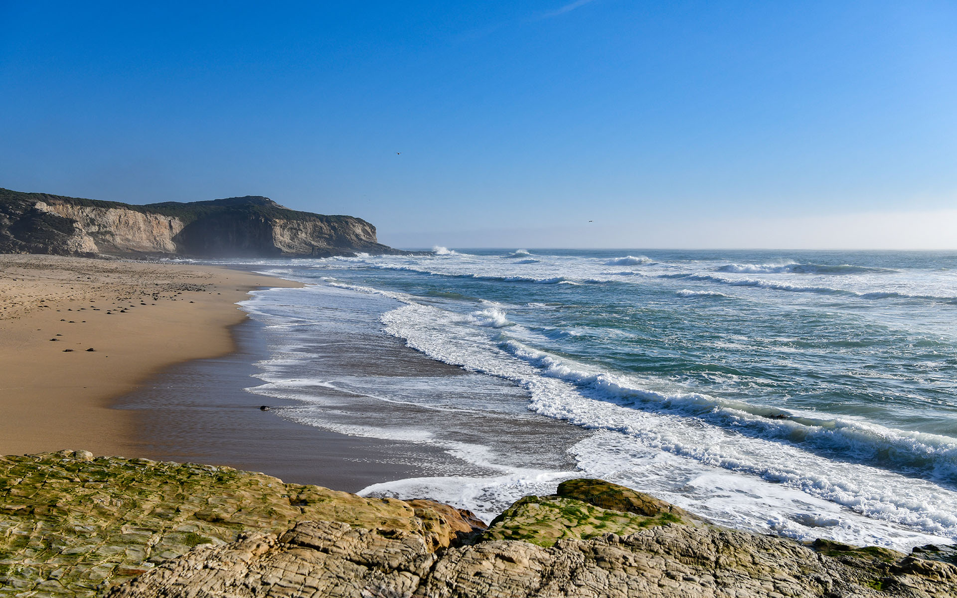 2020.02_Laguna-Creek-Beach_Coast-Dairies-State-Park_California_USA_04