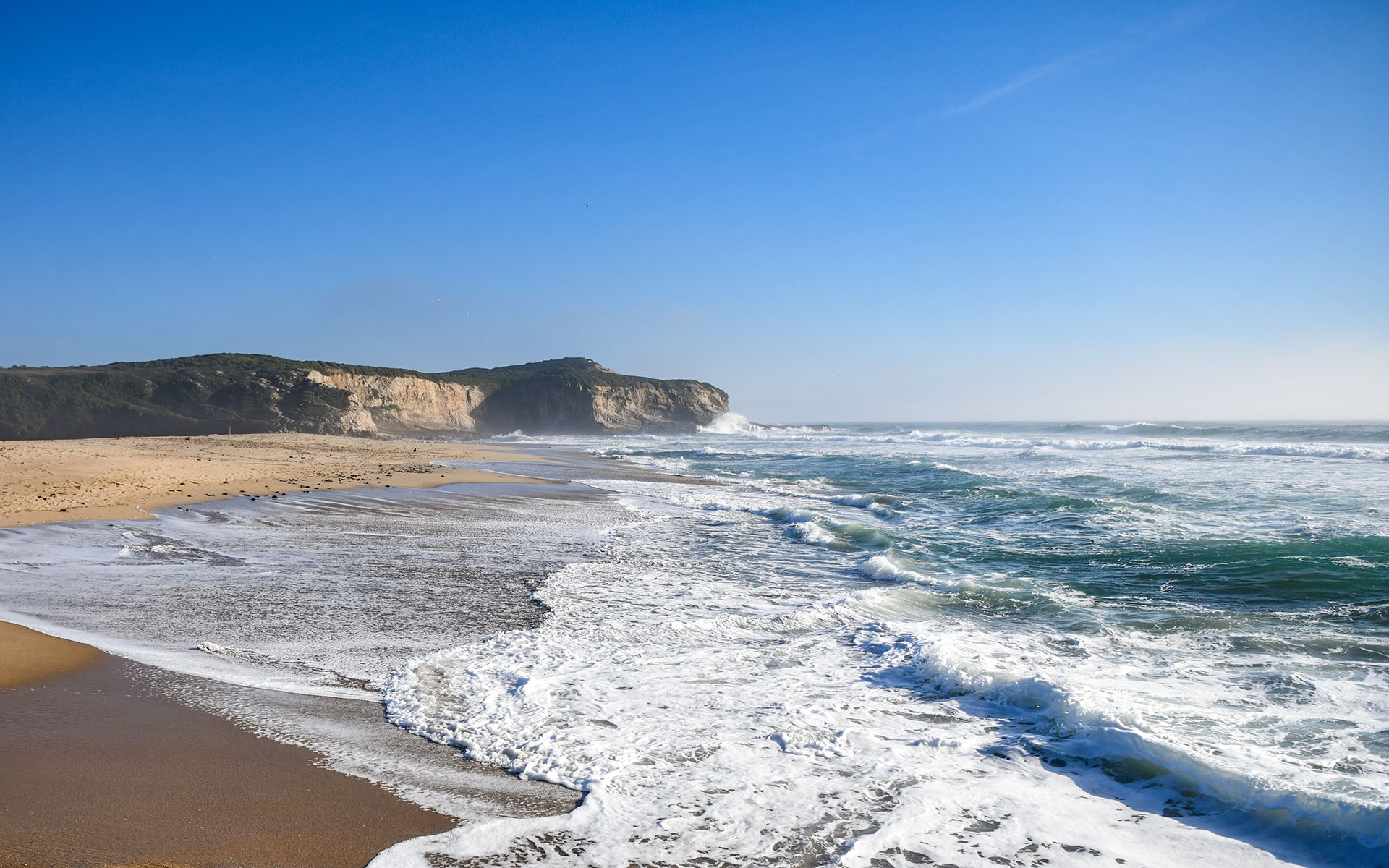 2020.02_Laguna-Creek-Beach_Coast-Dairies-State-Park_California_USA_05